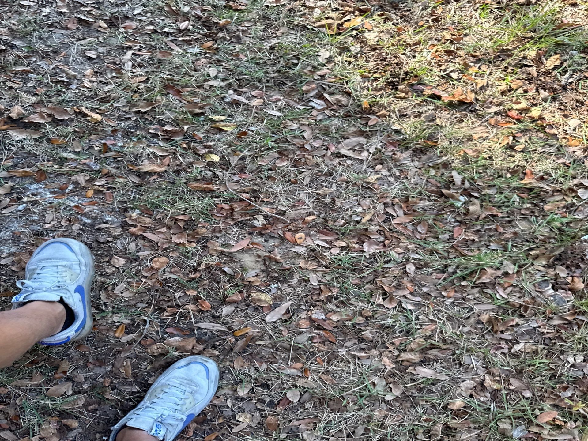 71-Nov 04 2024 02_04pm-HVE1.jpg