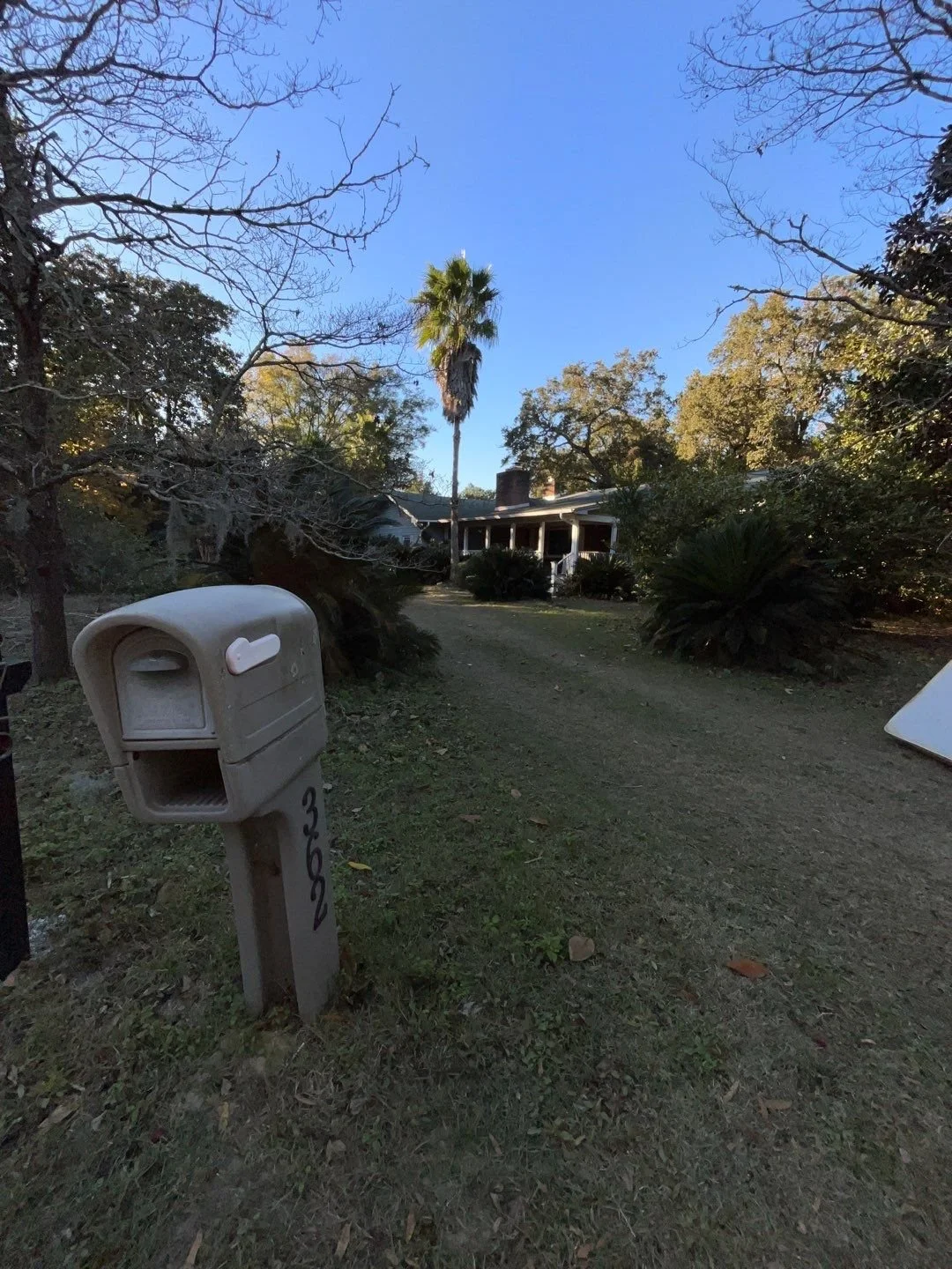 27-Dec 06 2024 08_31pm-fahJ.jpg