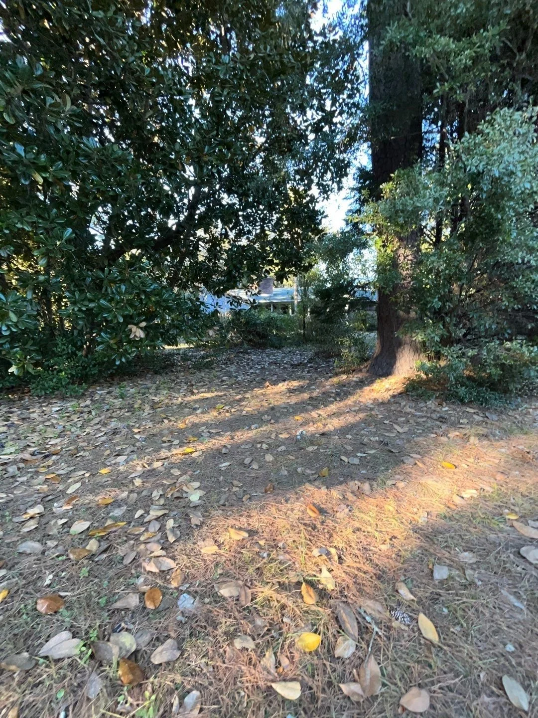 29-Dec 06 2024 08_32pm-RhKN.jpg