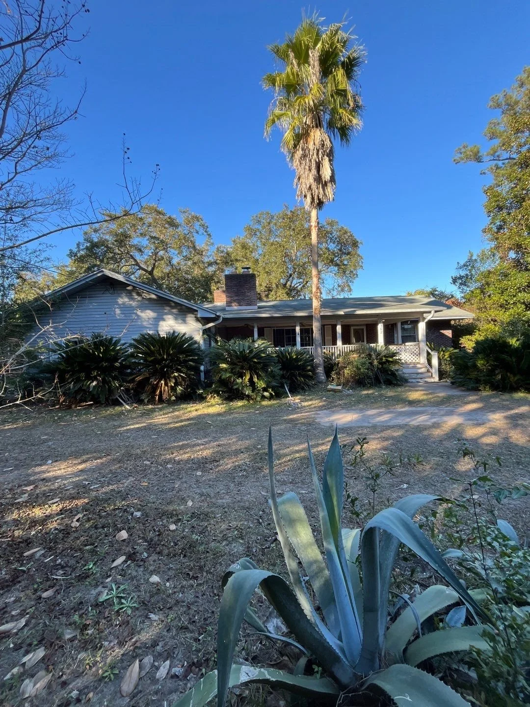 1-Dec 06 2024 08_15pm-yg9N.jpg