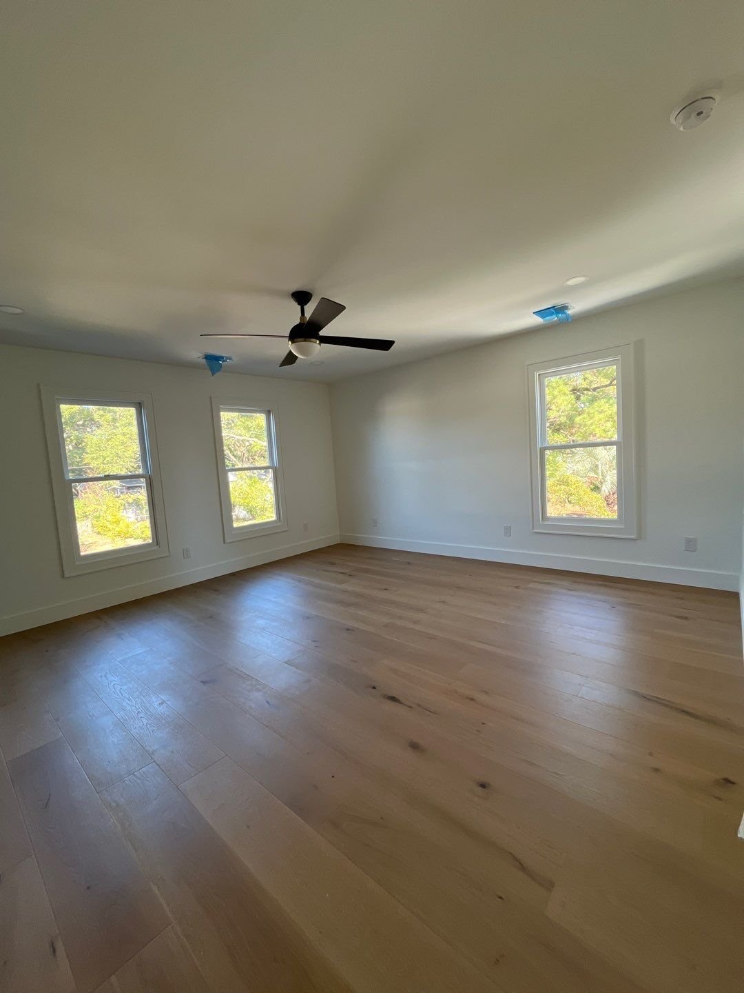 133-Nov 13 2024 03_50pm-6WKu.jpg