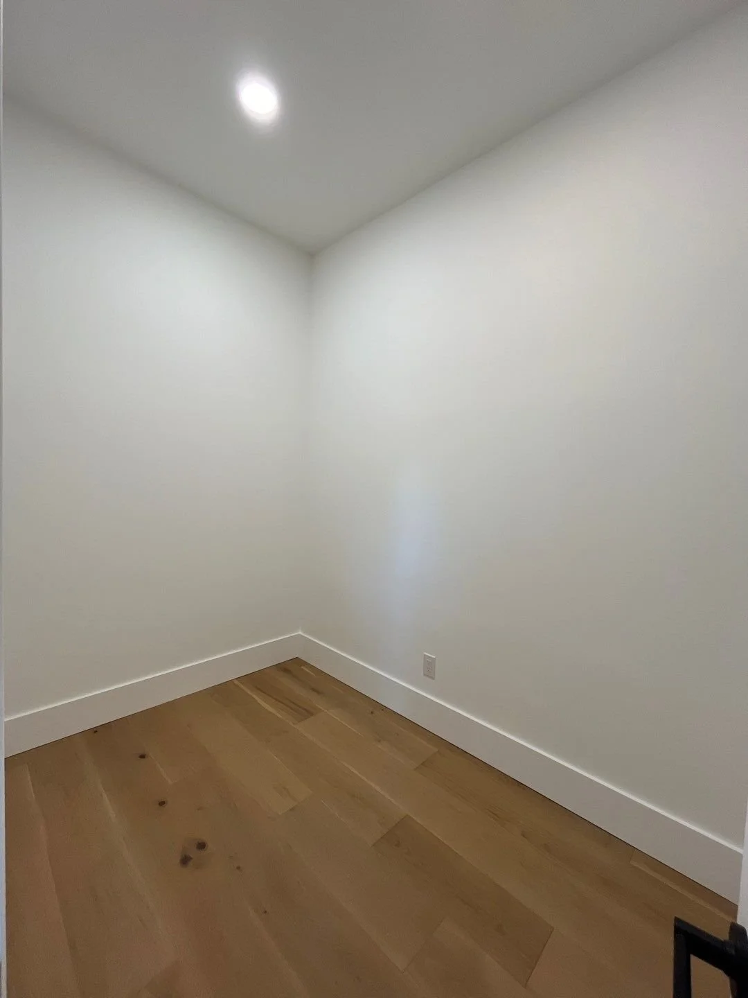 125-Nov 13 2024 03_47pm-ZKyZ.jpg