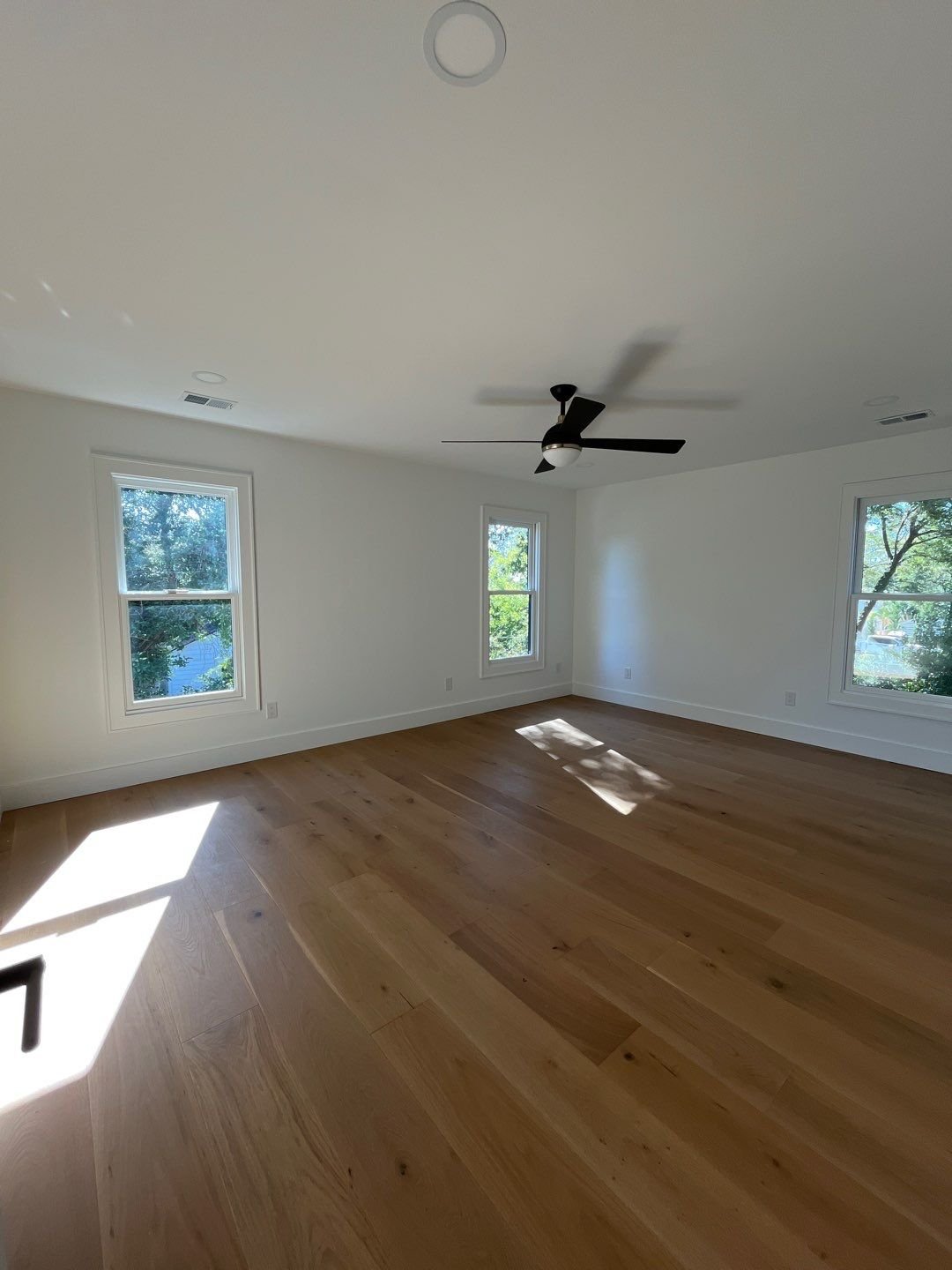 141-Nov 13 2024 03_53pm-RBaC.jpg