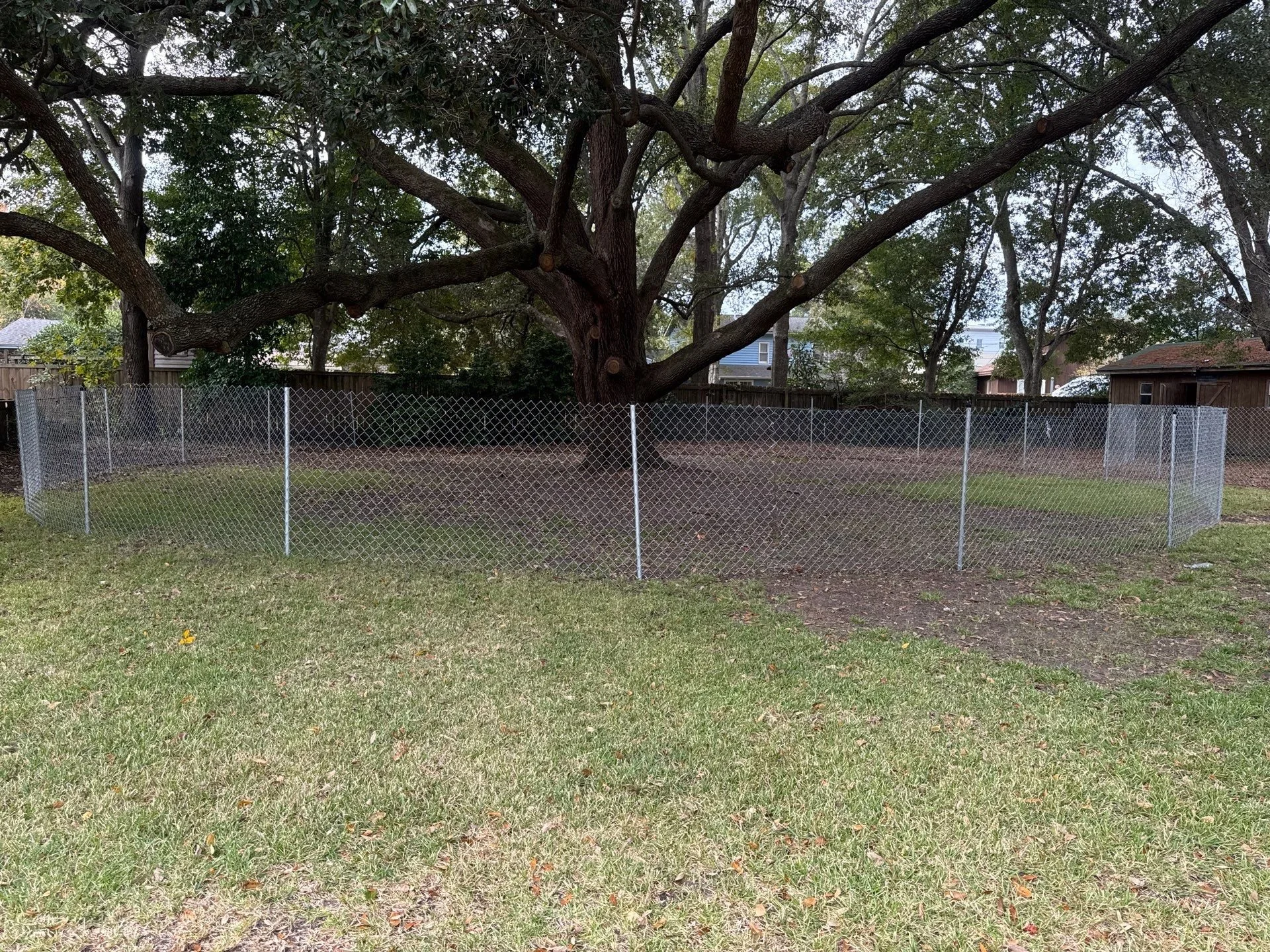 7-Nov 26 2024 04_08pm-aeK4.jpg