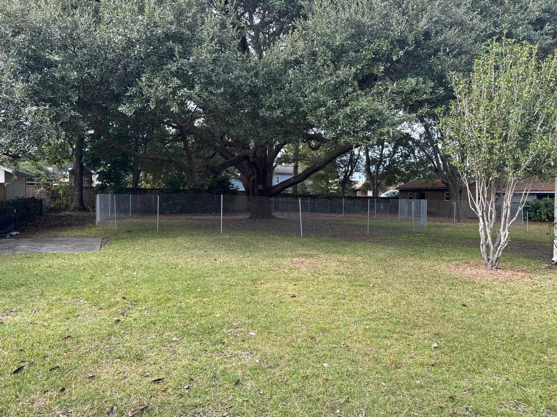 6-Nov 26 2024 04_08pm-Btkn.jpg