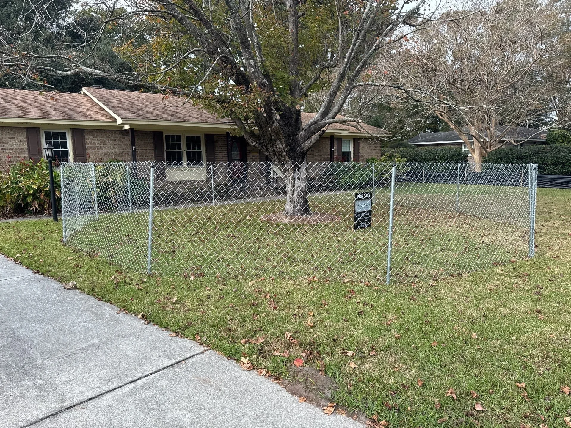 2-Nov 26 2024 04_08pm-Fefb.jpg