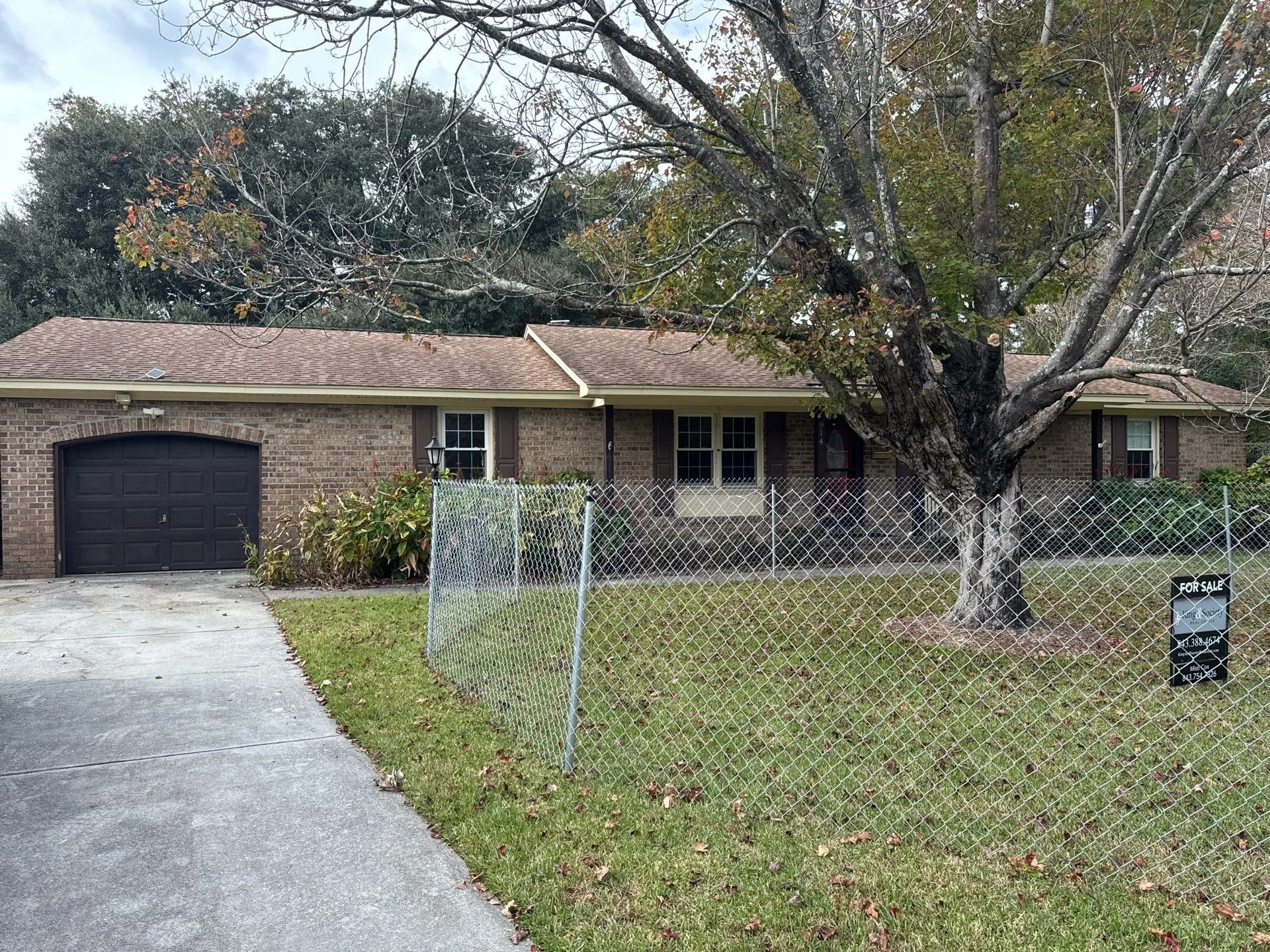 1-Nov 26 2024 04_08pm-ViBM.jpg