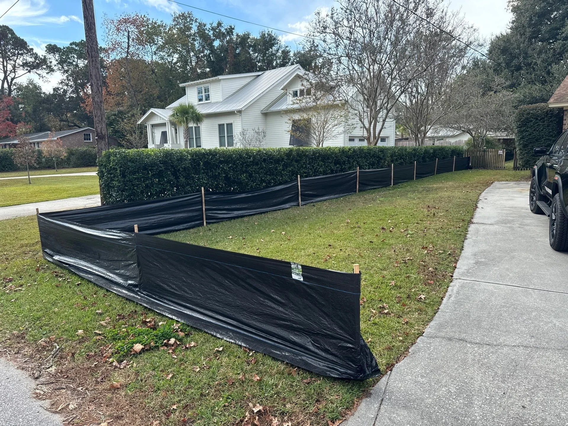 4-Nov 26 2024 04_08pm-SarF.jpg