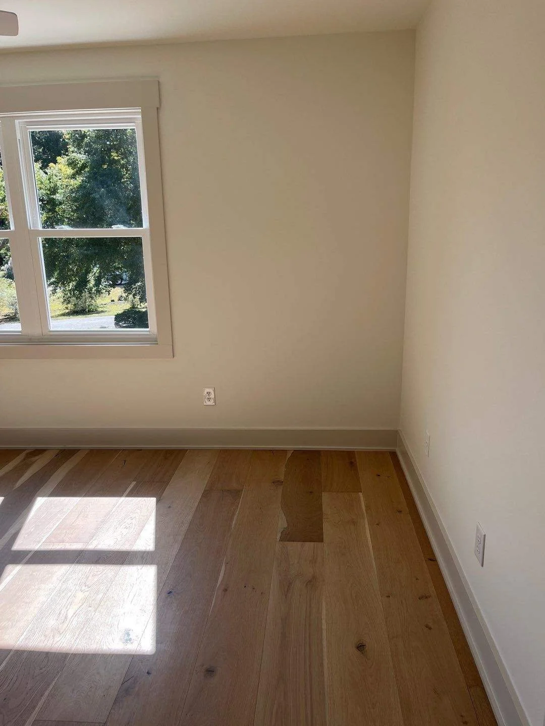 94-Oct 22 2024 05_36pm-j2to.jpg