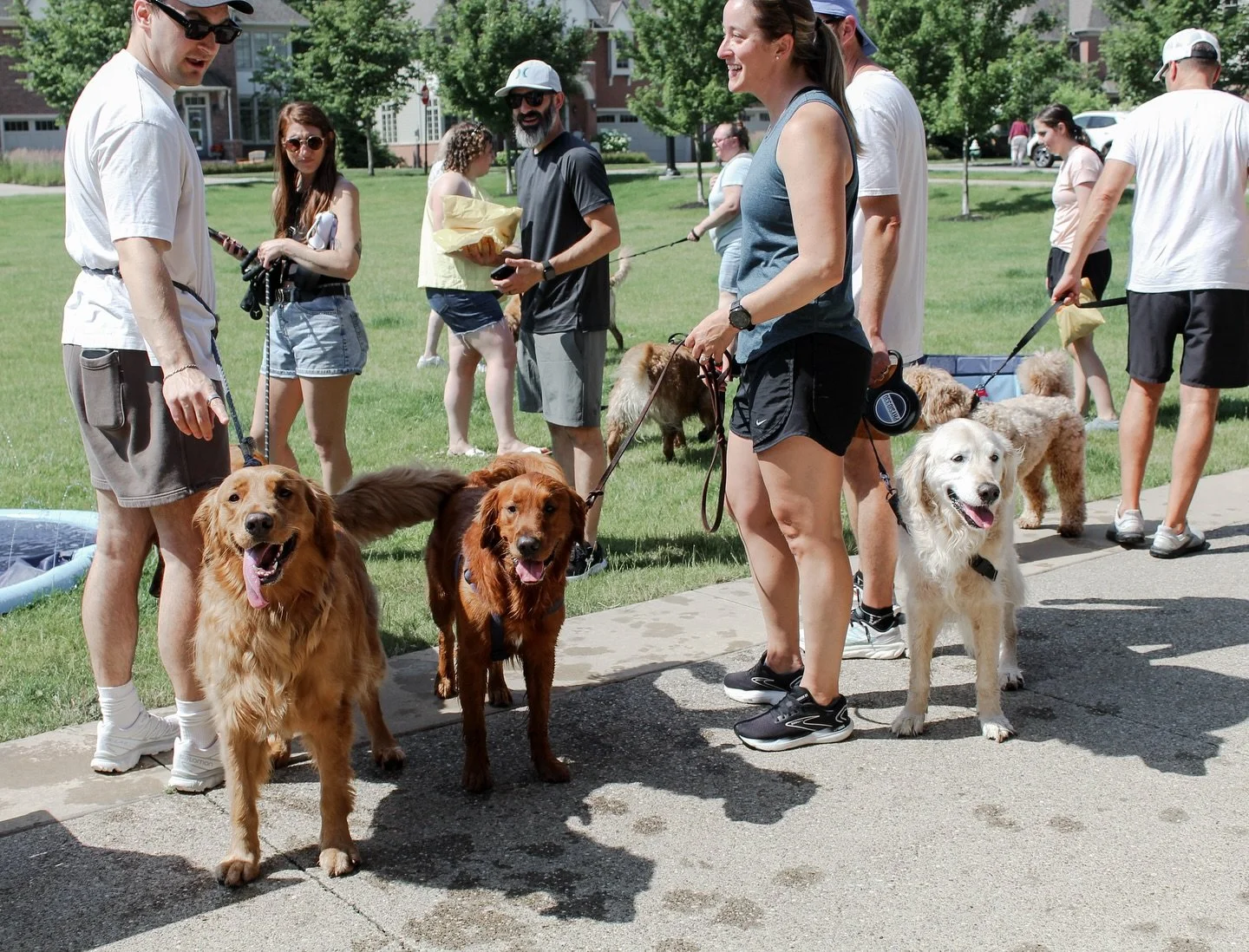 A look at our third Golden Retriever Meet-Up, which took place on June 22, 2025 💛🌼 We&rsquo;ll never get over how special these days are. Thank you SO MUCH to everyone who came out to support @grinrescue and love on these goldens. Hope to see you a