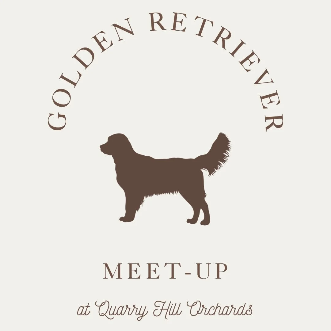 Golden Retriever Fall Meet-Up at Quarry Hill Orchards