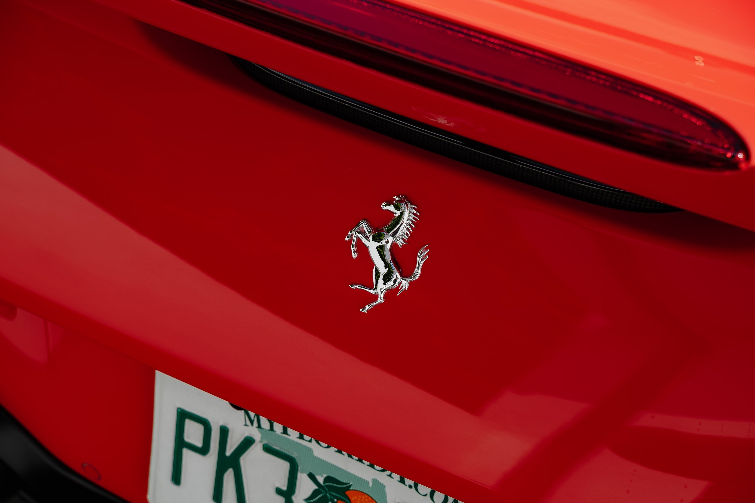 DSC07116.jpg