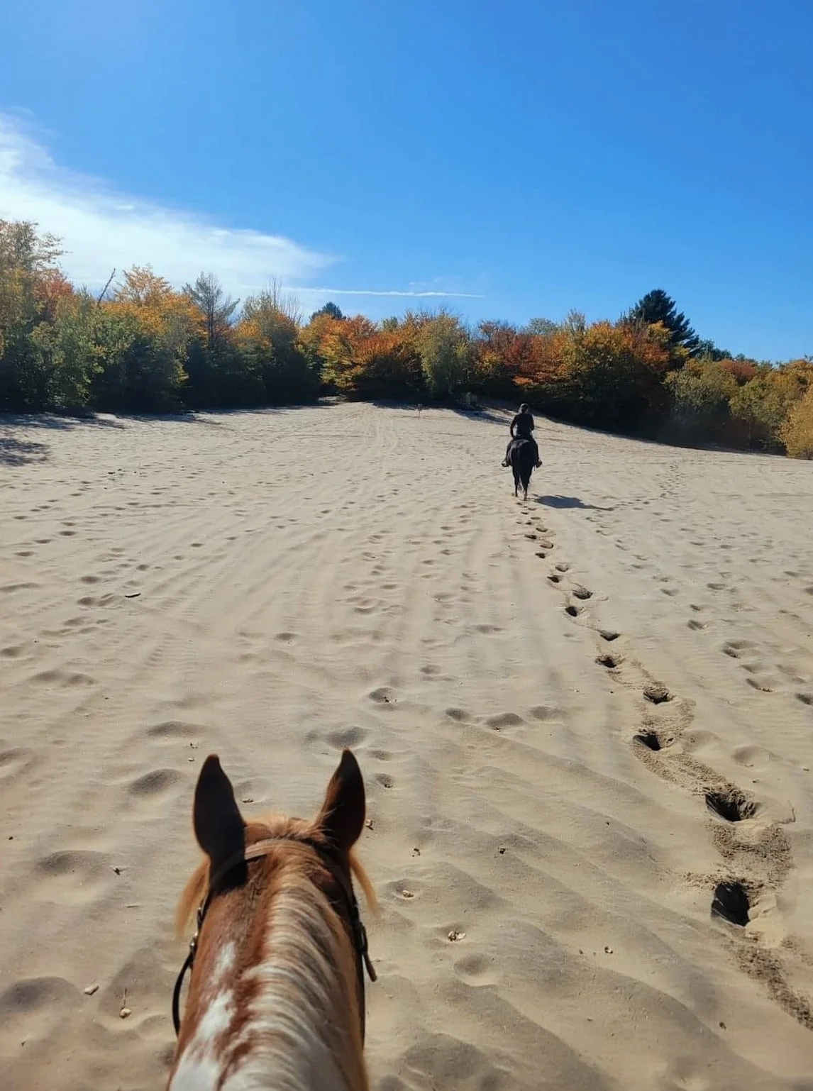 Screenshot 2025-04-03 at 6.20.42 PM copy.jpg