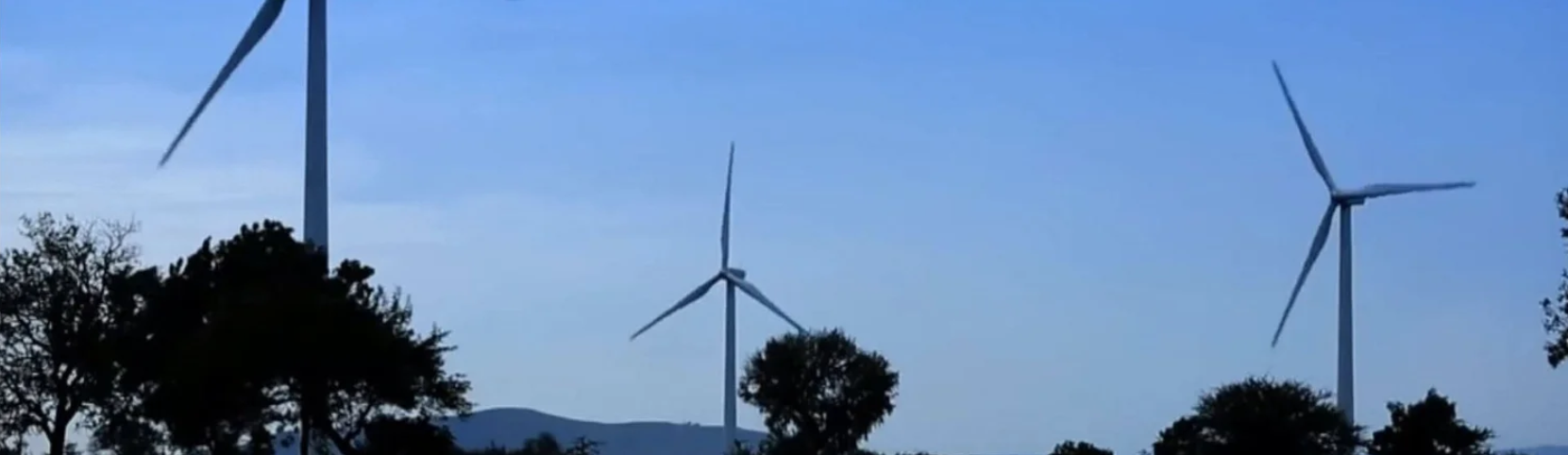 Mitä eroa on Carbon Neutral ja Climate Neutral välillä?