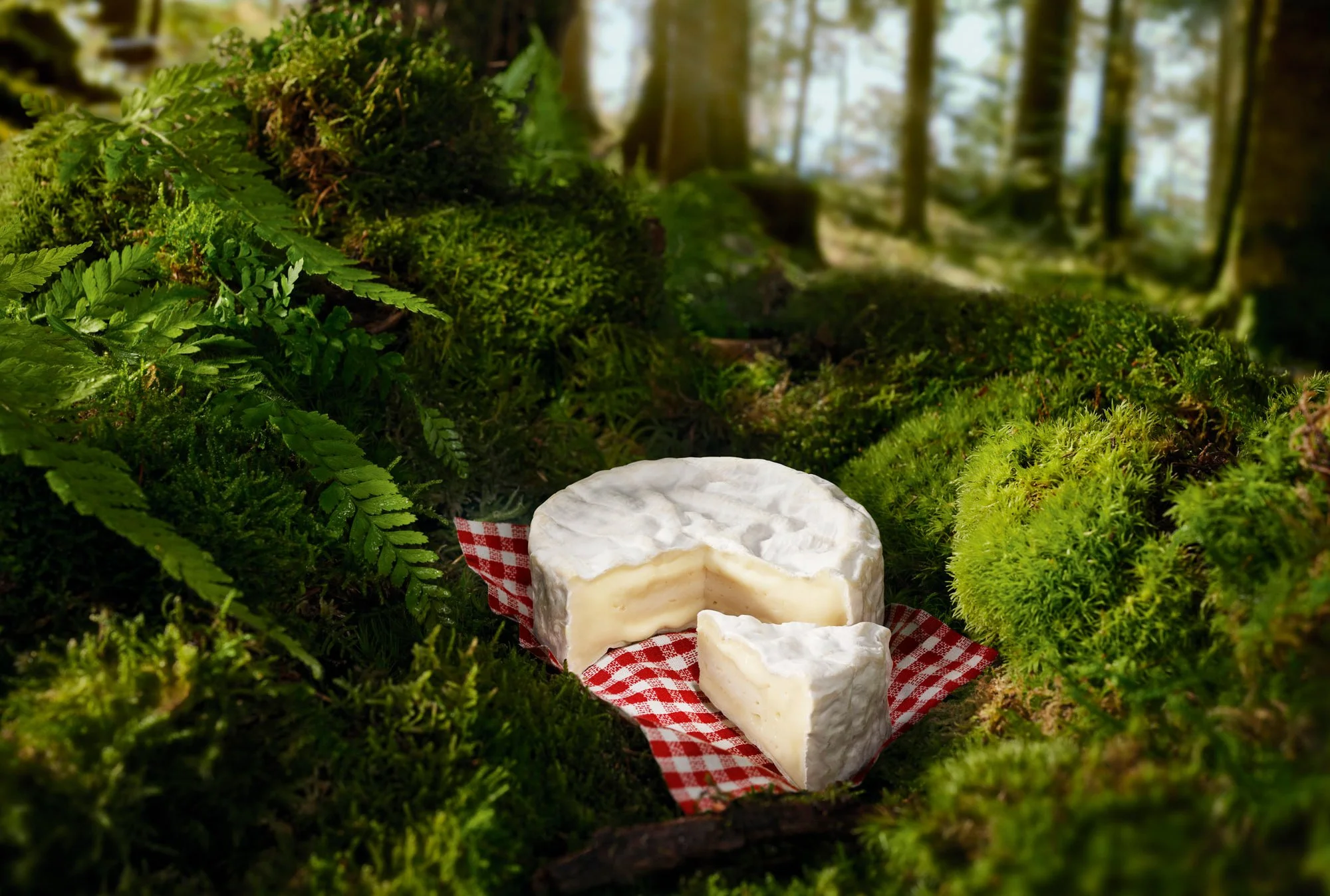 KV1_LE CAMEMBERT_02_BD.jpg