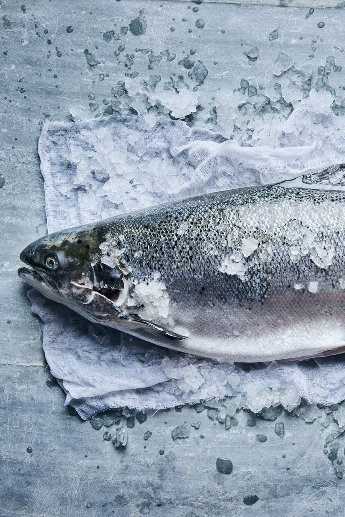 LPFSF_CAMPAGNE 20222228_HD_WEB_pp2.jpg