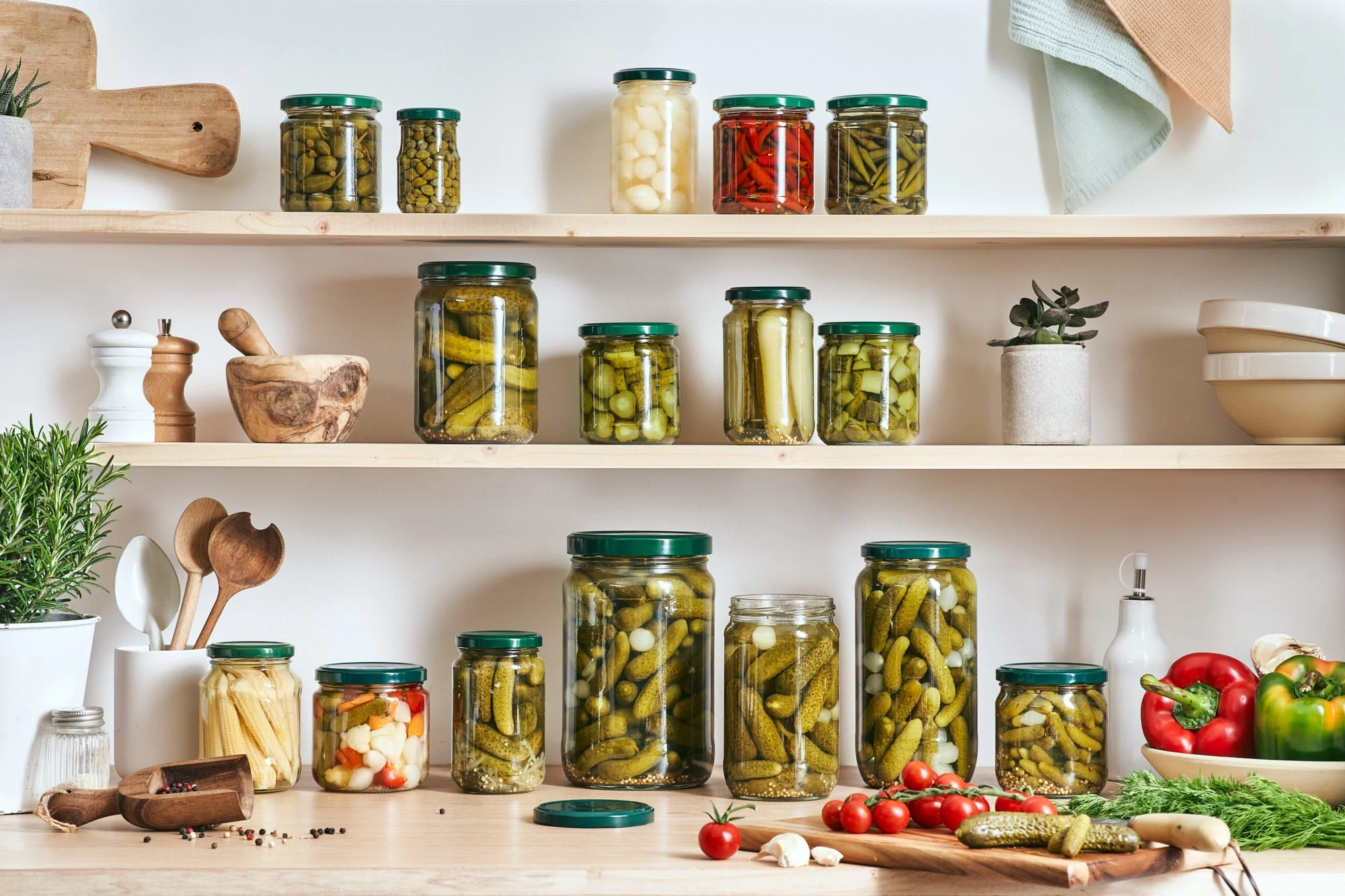 REITZEL MDD_CATALOGUE7449_HD_WEB.jpg