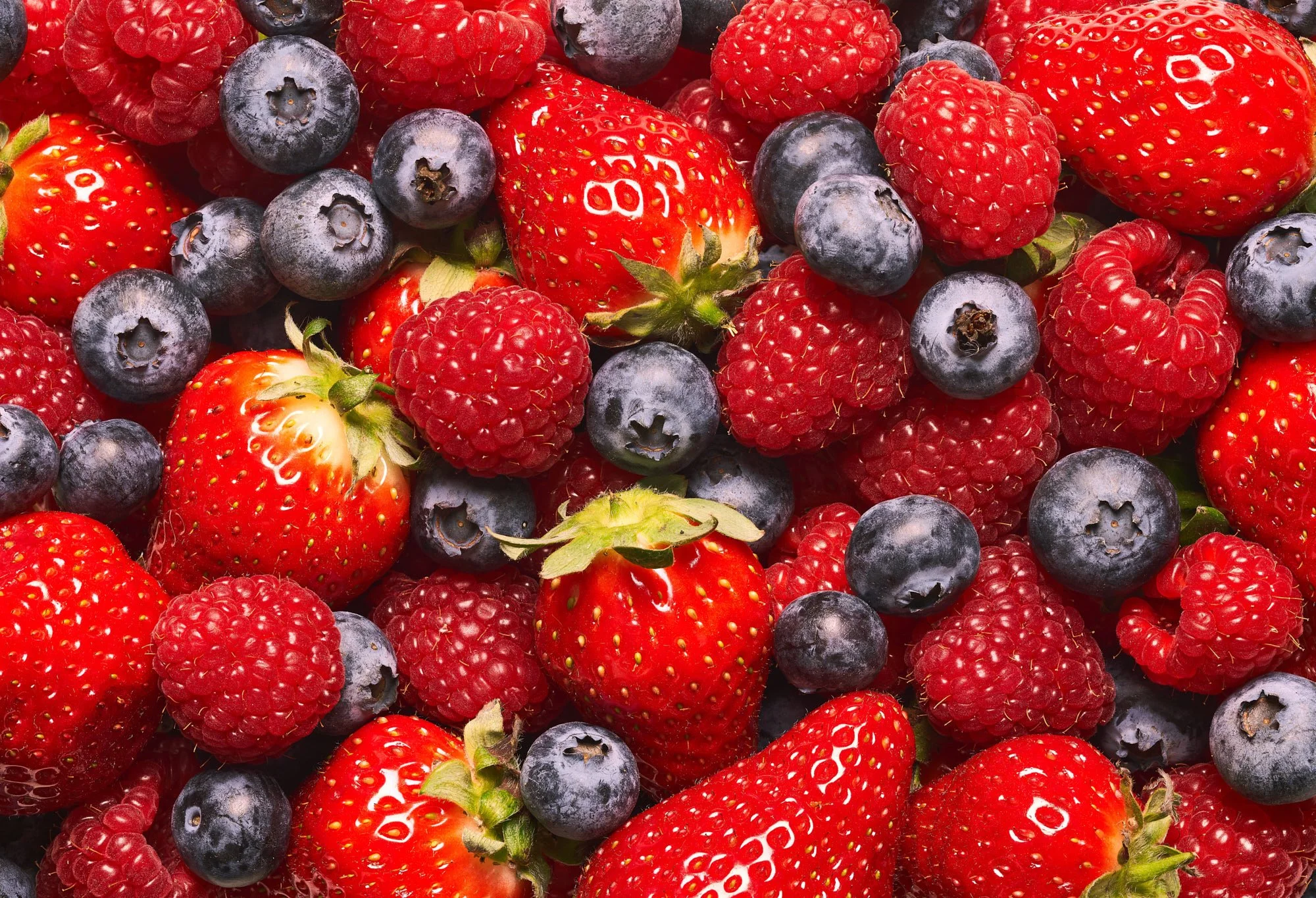 ALTERFOOD_MARCEL_3 PACKSHOTS4467_WEB.jpg