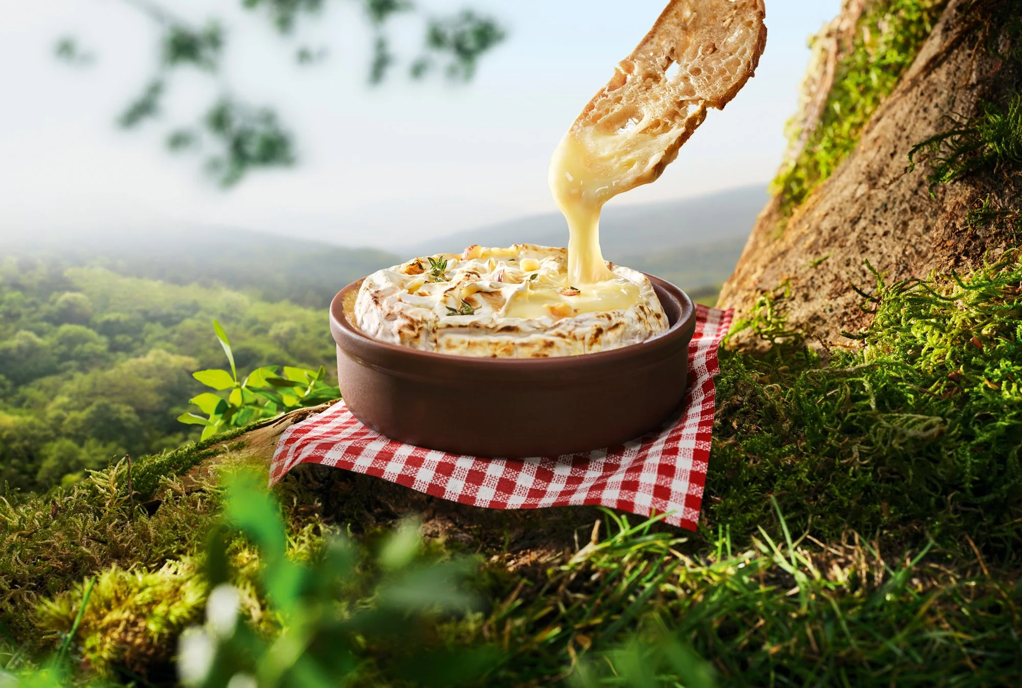 KV4_LE CAMEMBERT ROTI_02_BD.jpg