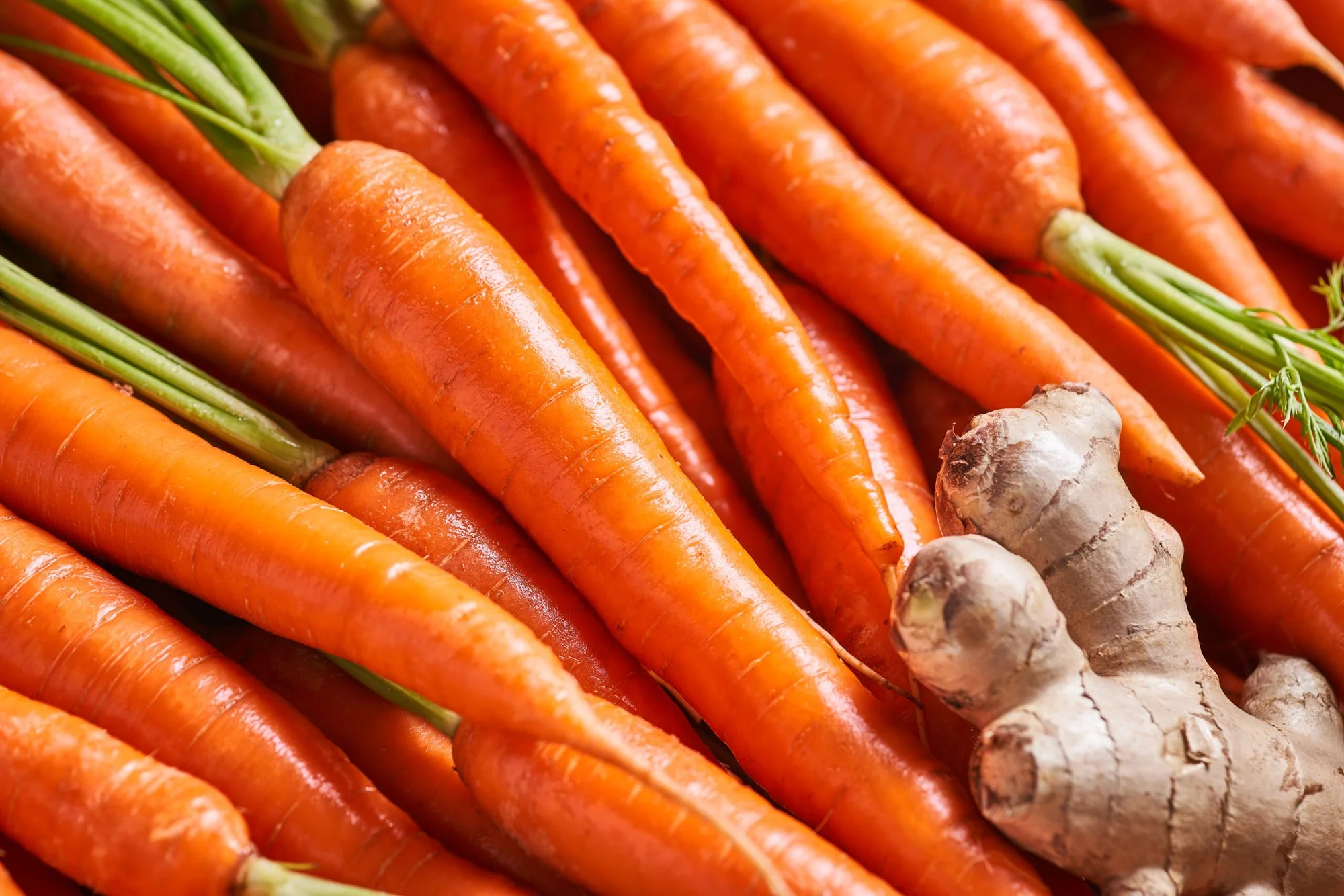ALTERFOOD_MARCEL_PACKAGING0477_WEB.jpg