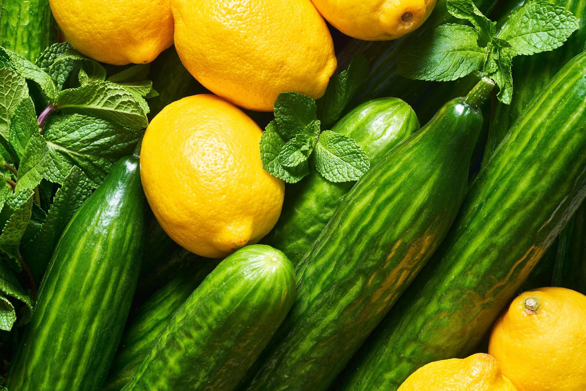 ALTERFOOD_MARCEL_3 PACKSHOTS4534_WEB.jpg