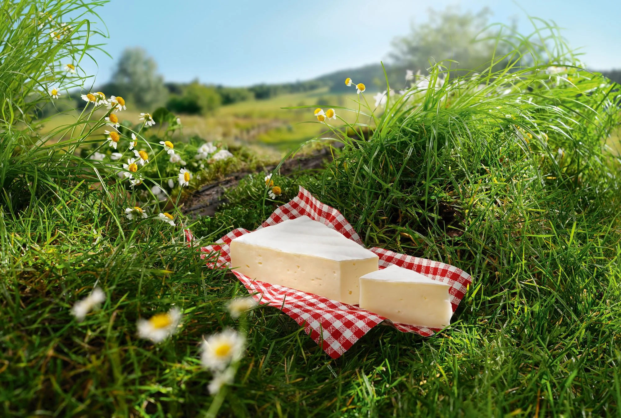 KV2_LE BRIE_01_BD.jpg