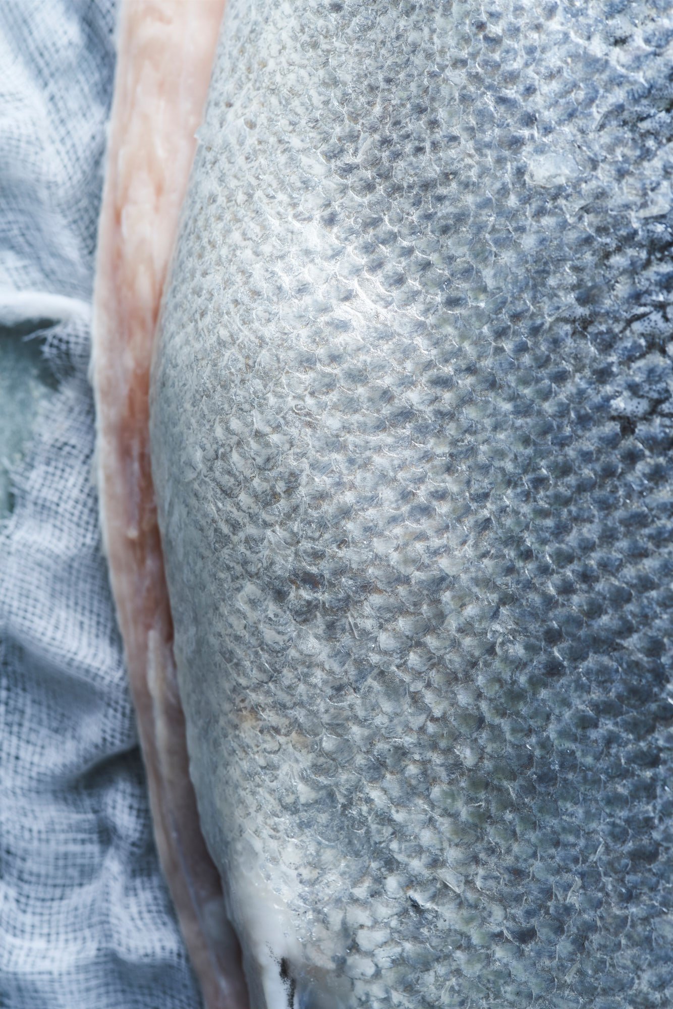 LPFSF_CAMPAGNE 20222213_HD_WEB.jpg