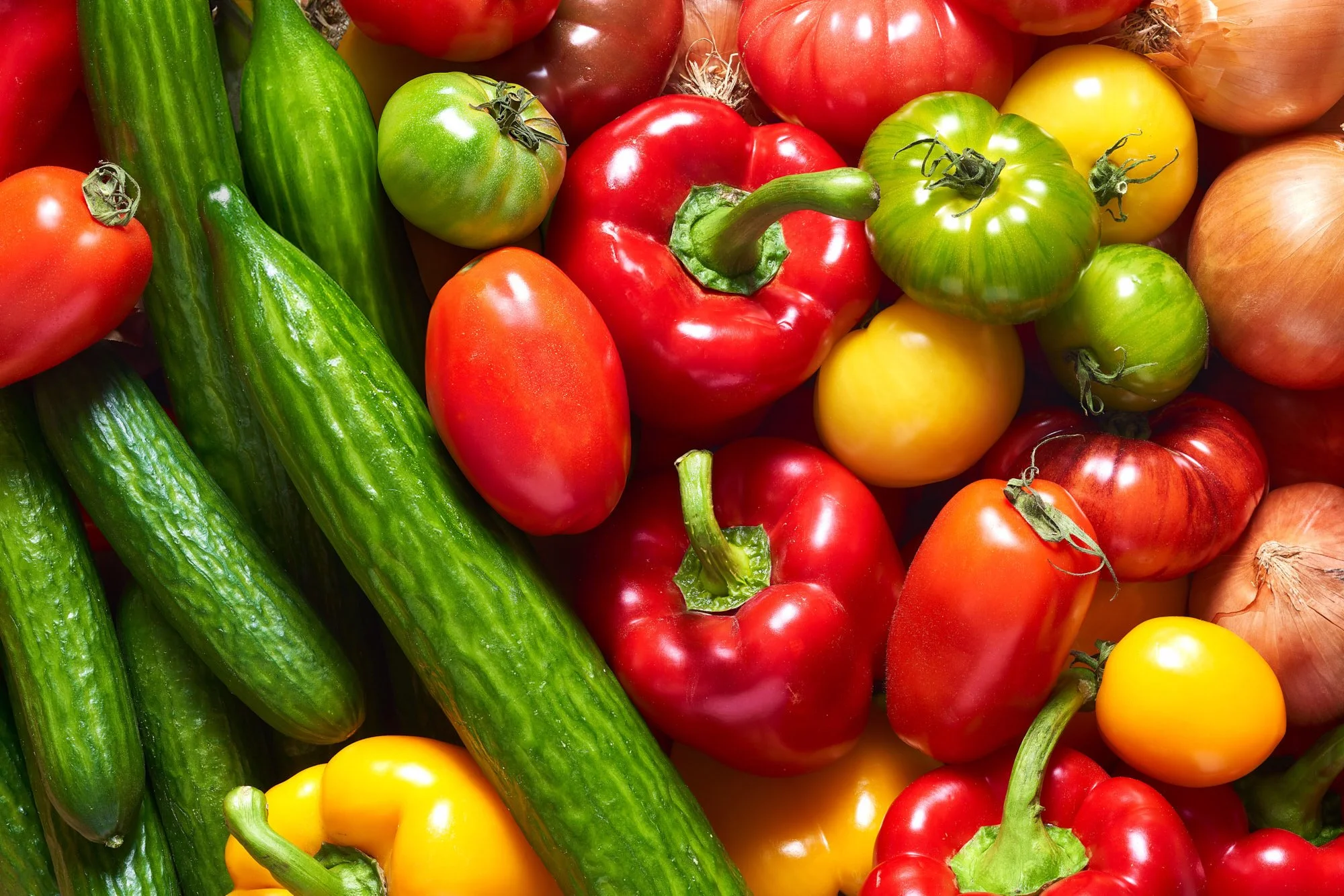 ALTERFOOD_MARCEL_3 PACKSHOTS4509_WEB.jpg