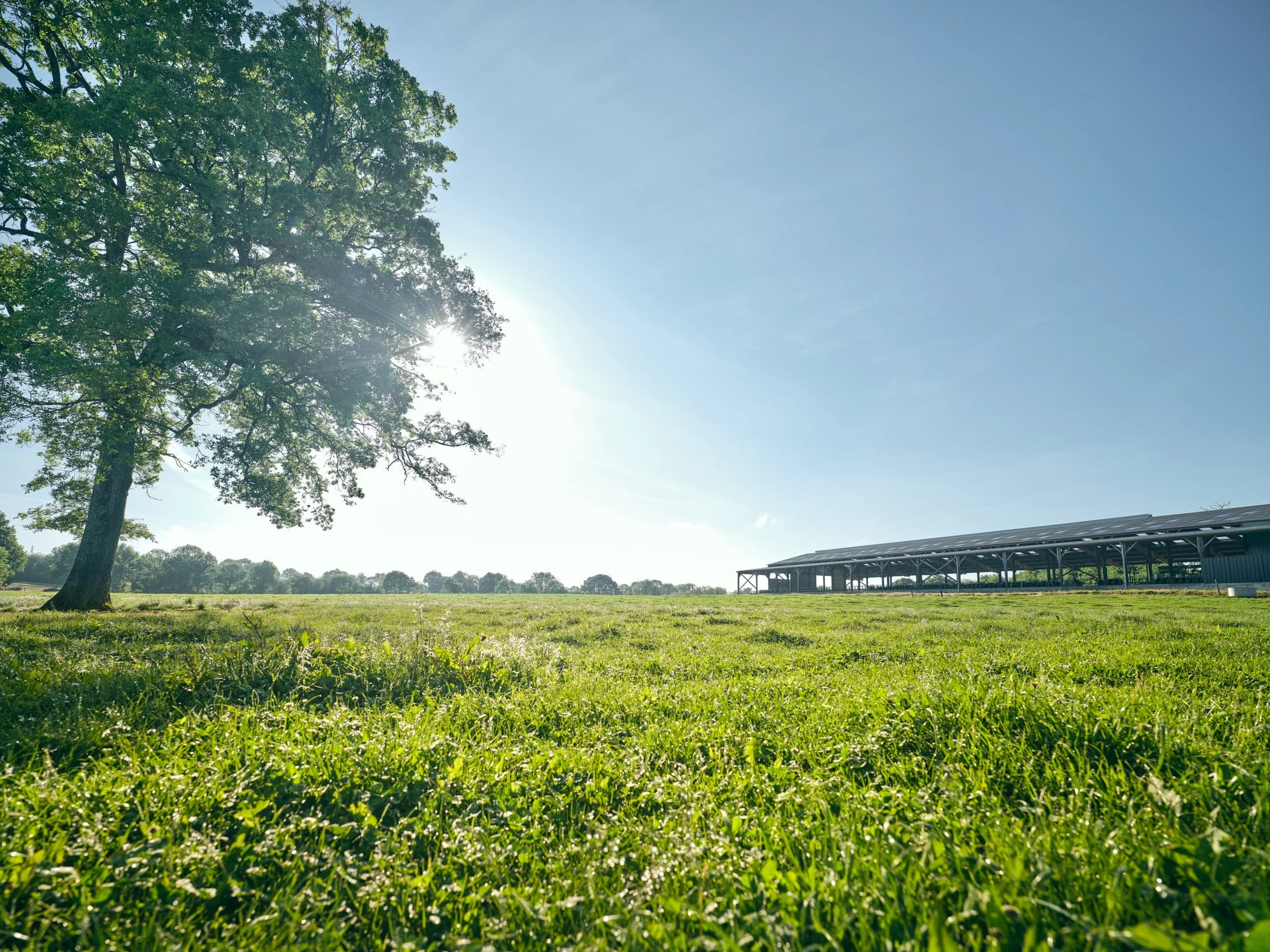 anne-bergeron_B16 - Landscape no cows-2553_HD_web.jpg