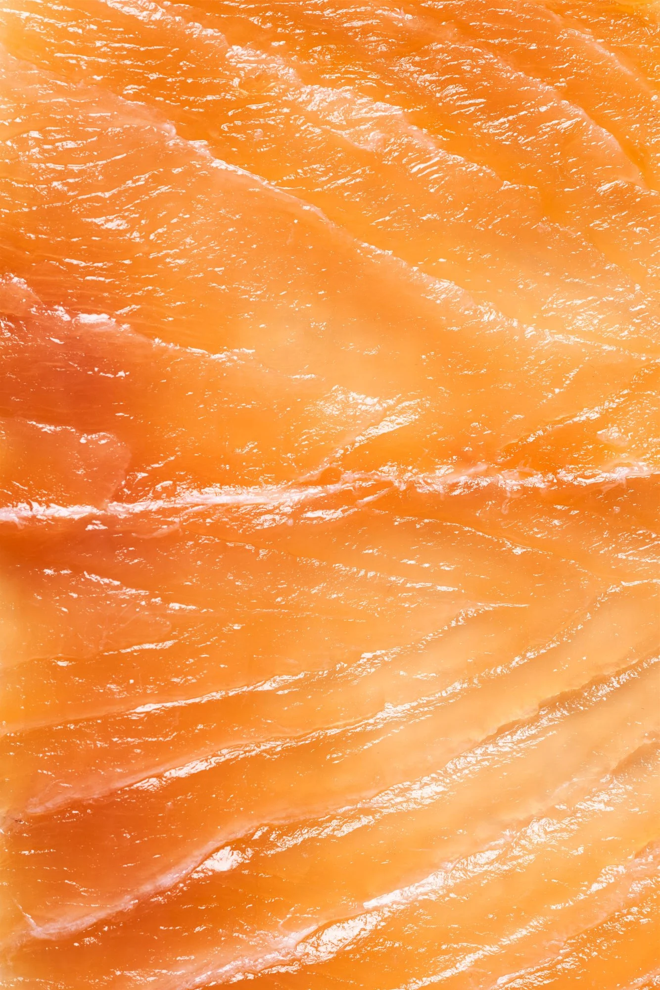 LPFSF_CAMPAGNE 20222228_HD_WEB.jpg