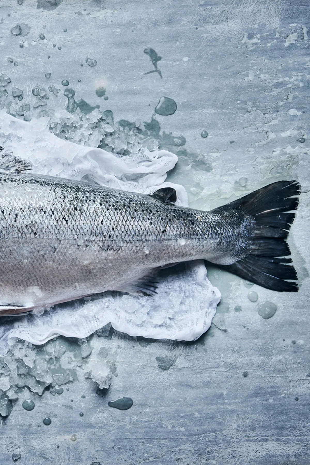 LPFSF_CAMPAGNE 20222228_HD_WEB_pp.jpg