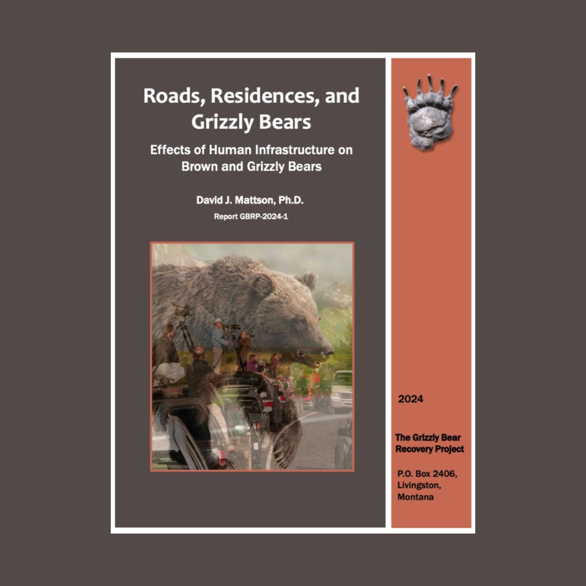 https://www.grizzlytimes.org/_files/ugd/d2beb3_91b71ac2c98b4ab1a62f37f815ad8d49.pdf