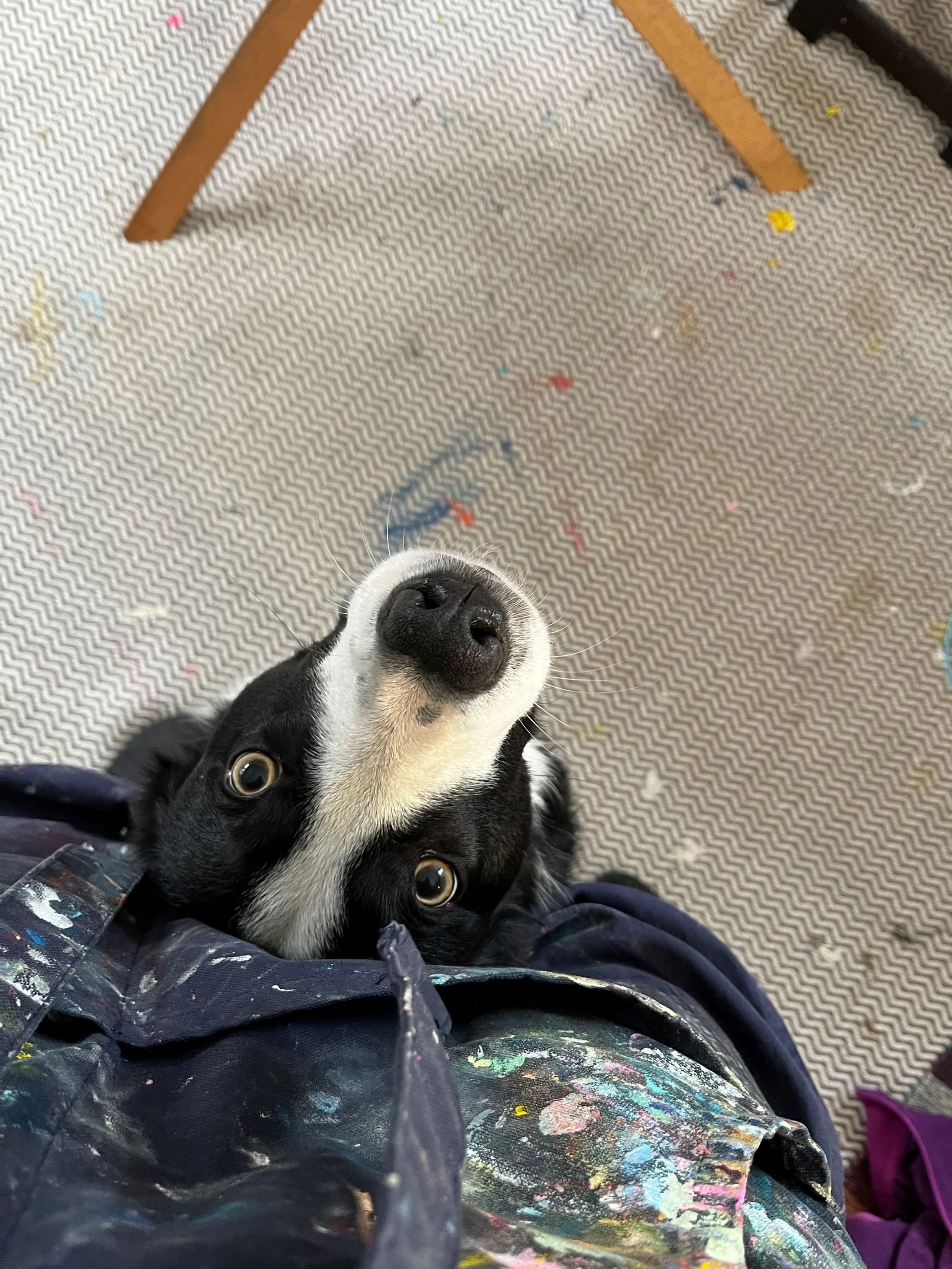 Eddie 1.jpg