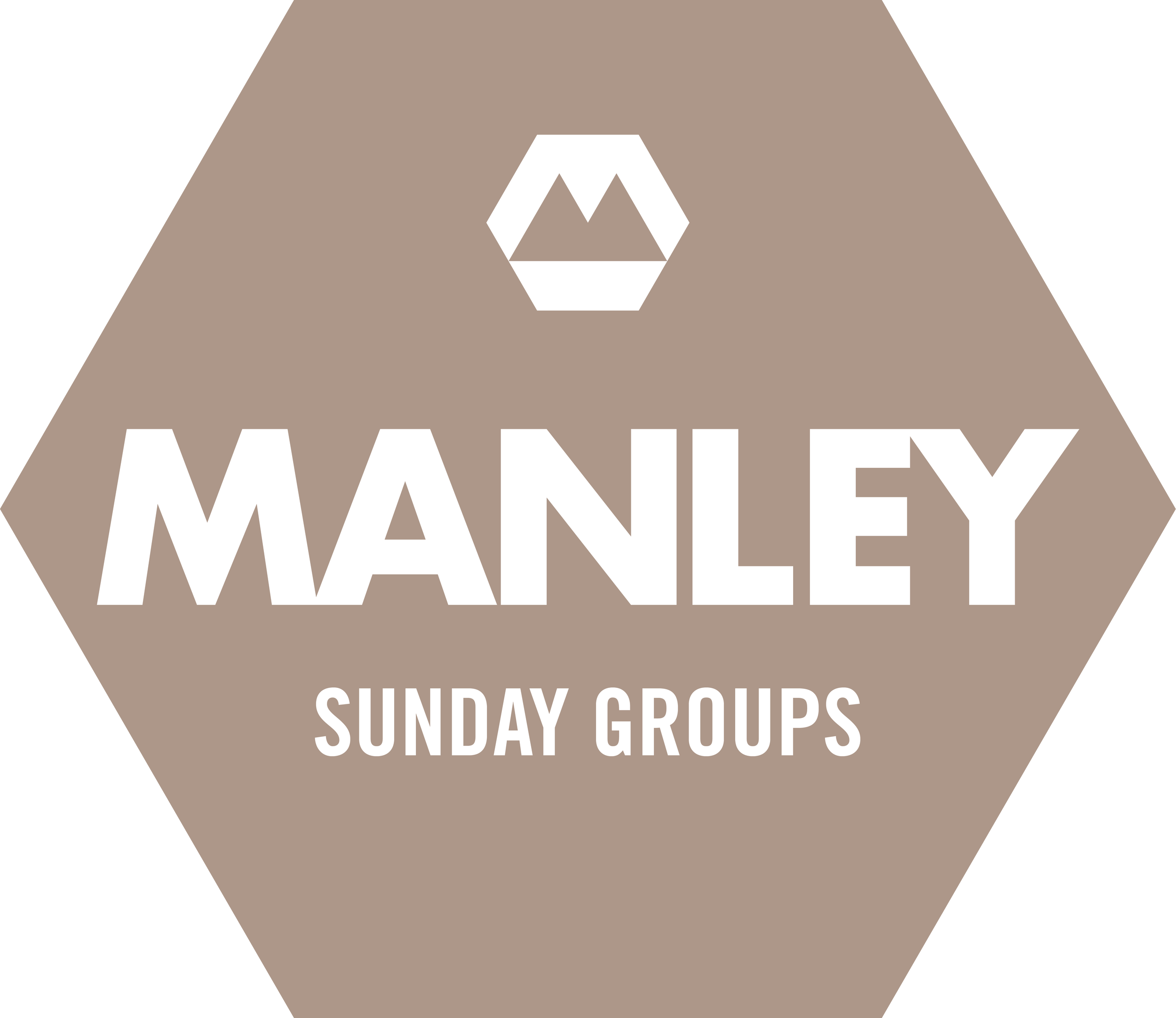 Logo for Manley Sunday Groups, featuring a hexagon with a mountain icon inside.