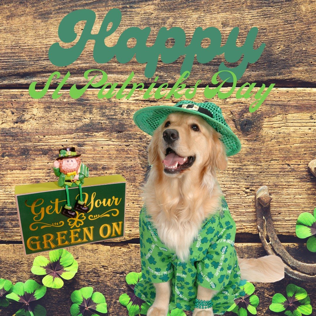☘️🎉 **How to Celebrate St. Patrick&rsquo;s Day Like a True Lucky Charm!** 🎉☘️ 

💚 **Go Green or Get Pinched!** &ndash; Rock your best green outfit&mdash;hats, socks, even face paint! Because on St. Paddy&rsquo;s Day, *more green = more luck!* 🍀 
