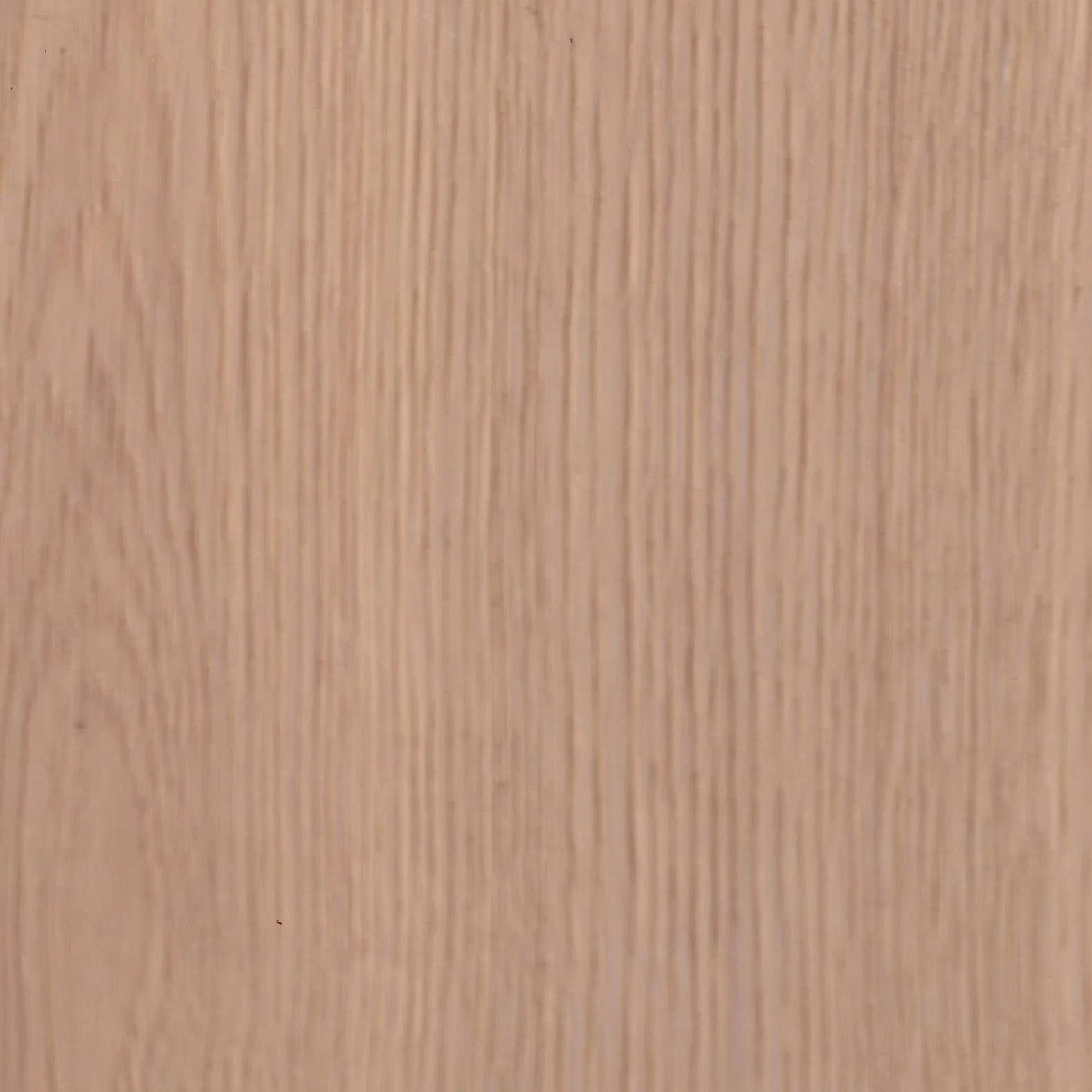EFC1026 Naturalizzato