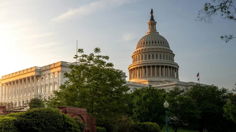Government