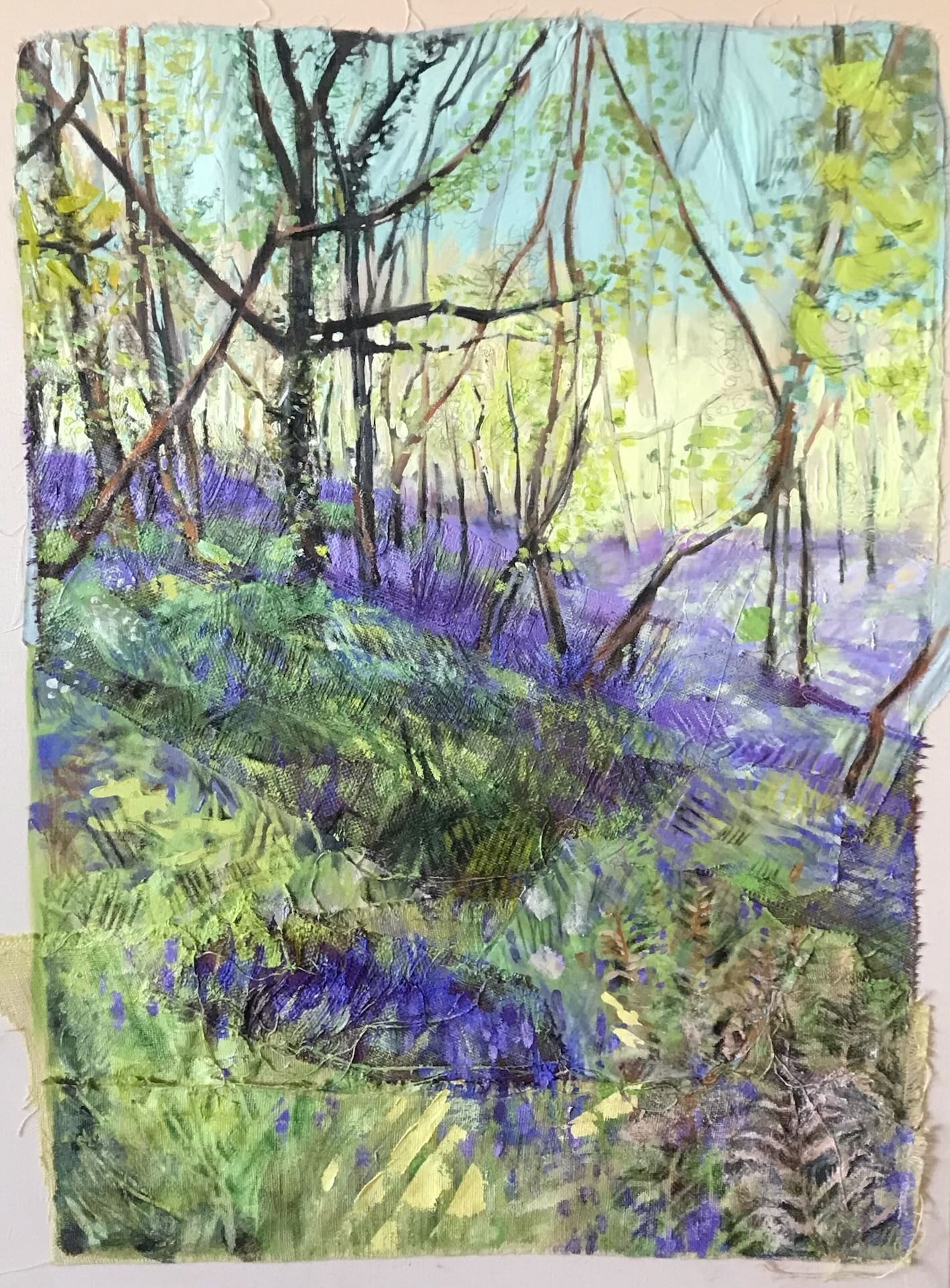 First Bluebells