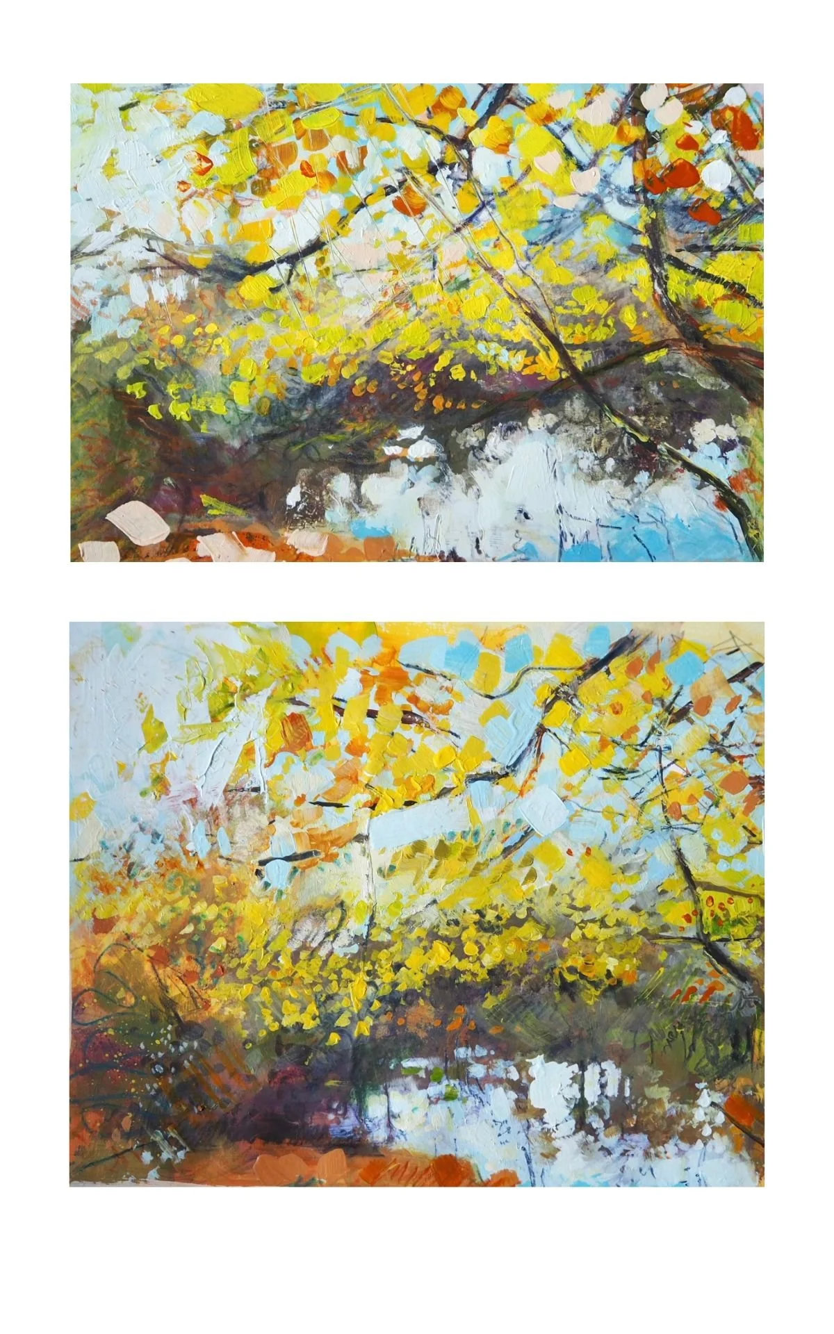 Reflection Pool Sketches