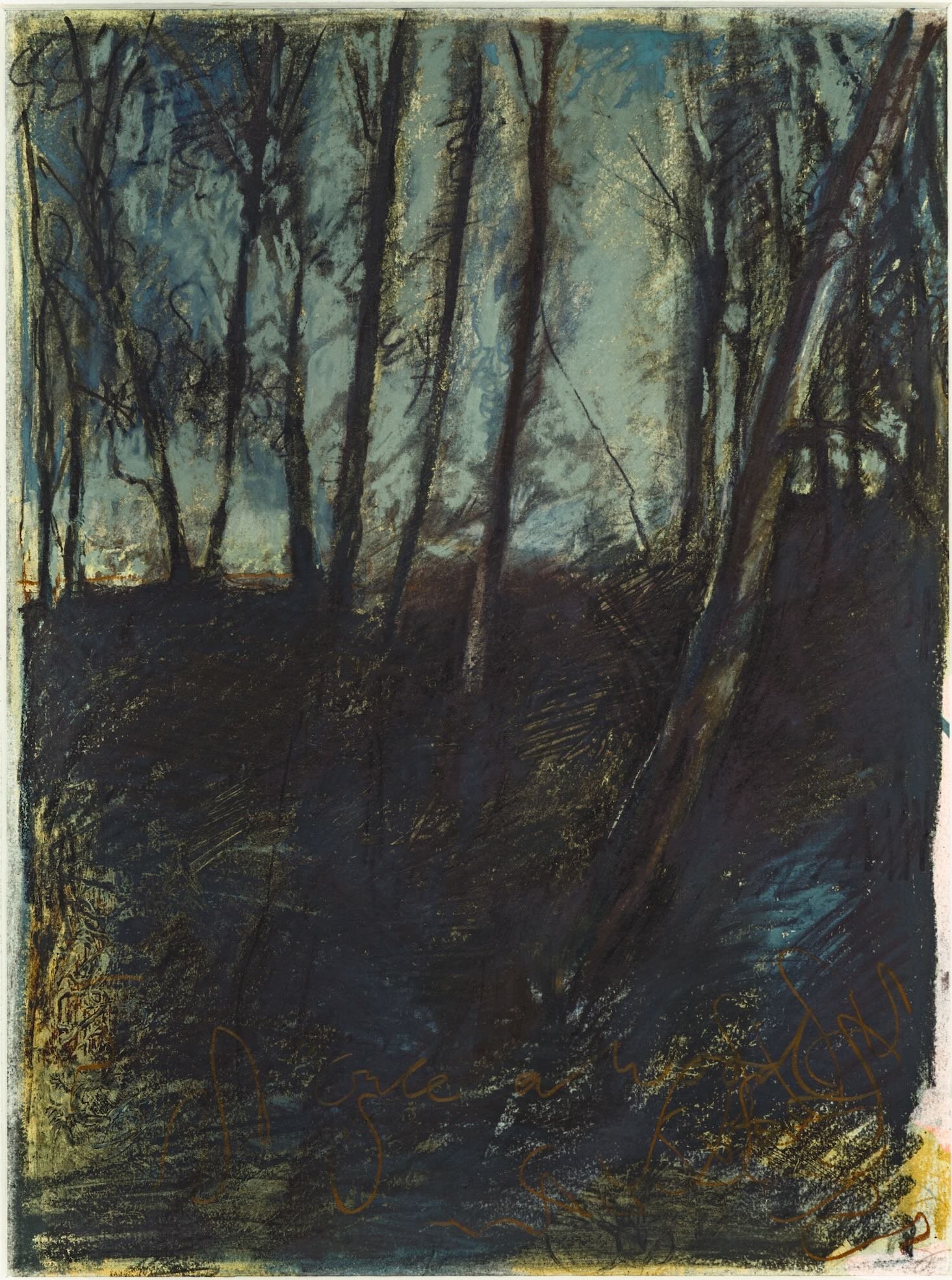 Once a Wood  Drawing - Winter Solstice.jpeg