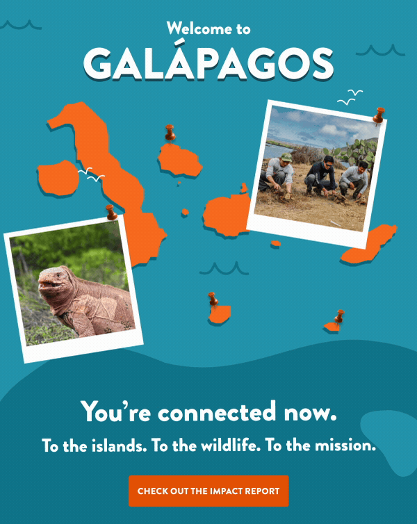 New Donor Email 1.gif