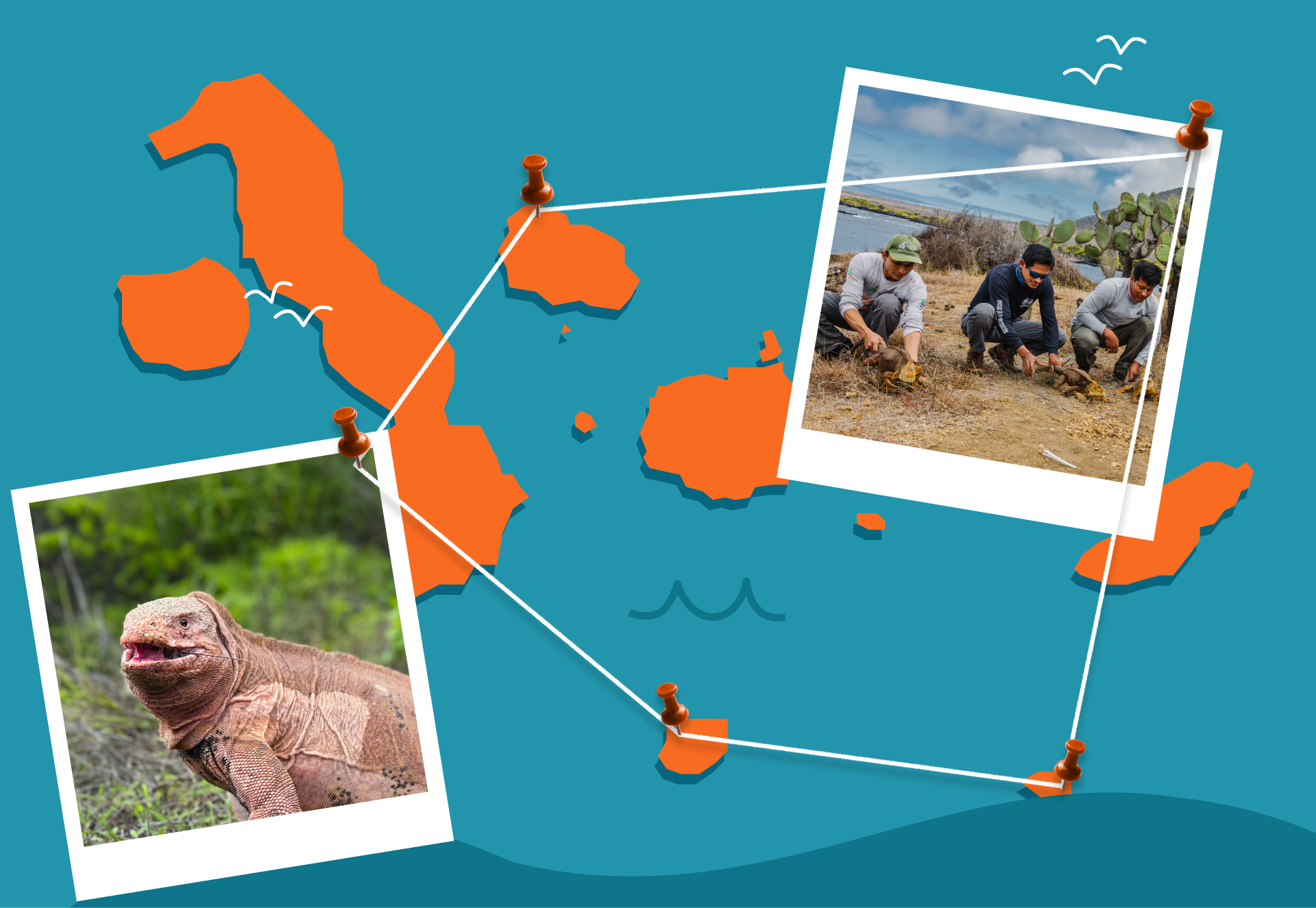 Galapagos Conservancy: Welcome Series