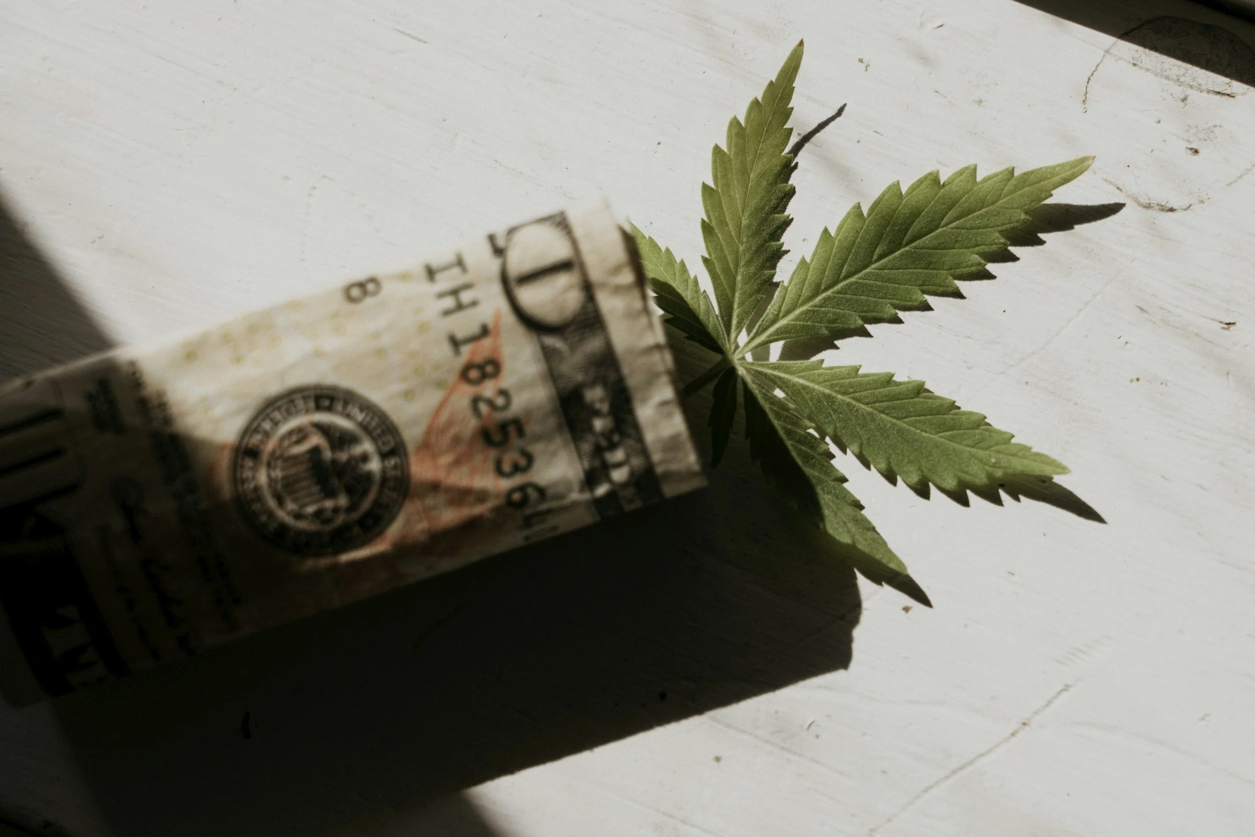 Florida Commercial Leases and the Federal Hemp Ban: What Landlords and Tenants Should Do Before November 12, 2026