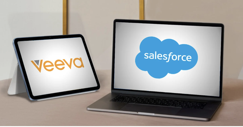 Global CRM Strategy and Future State Roadmap