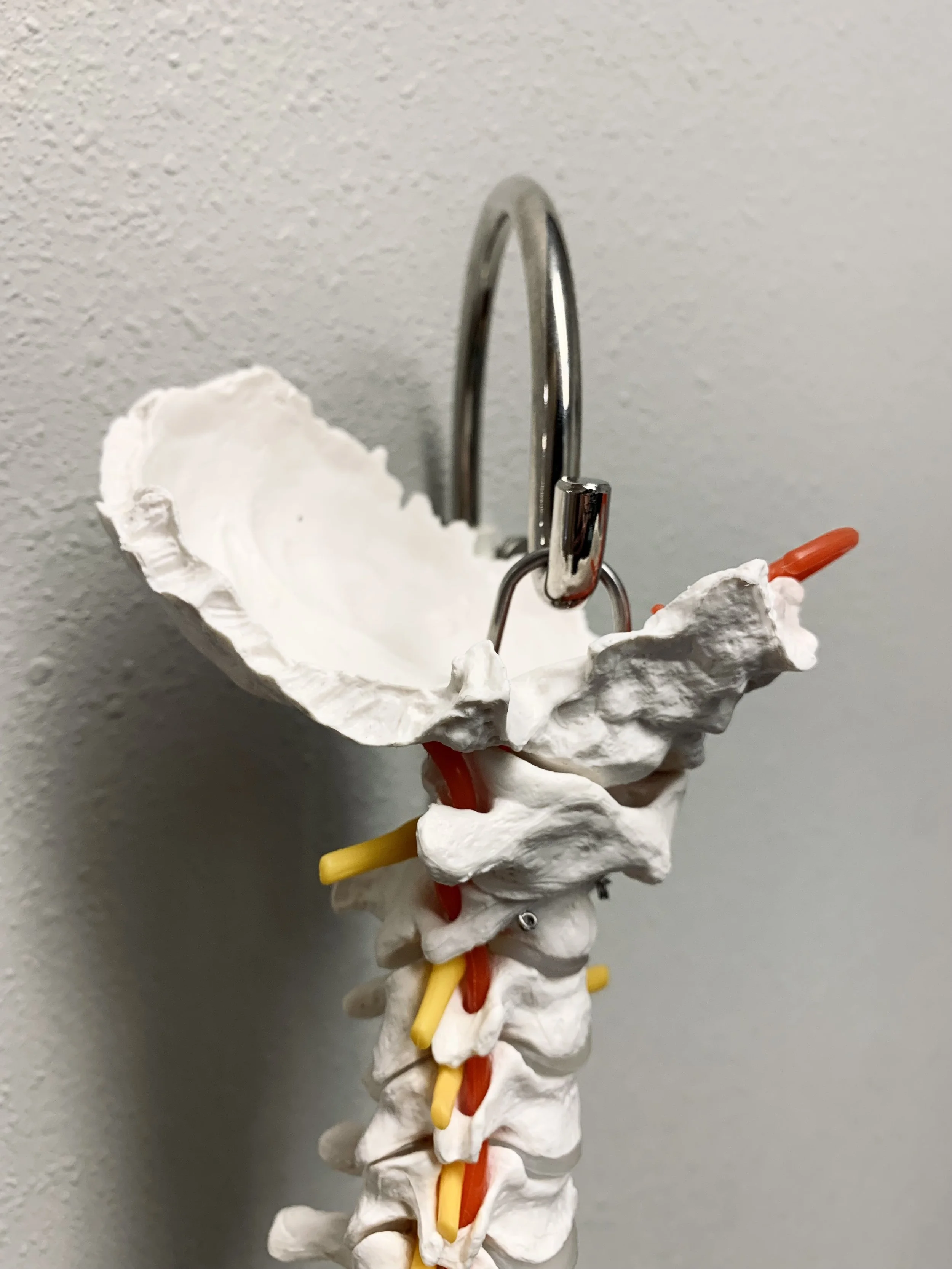 It’s Not in Your Head: The Nervous System’s Role in Mental Health