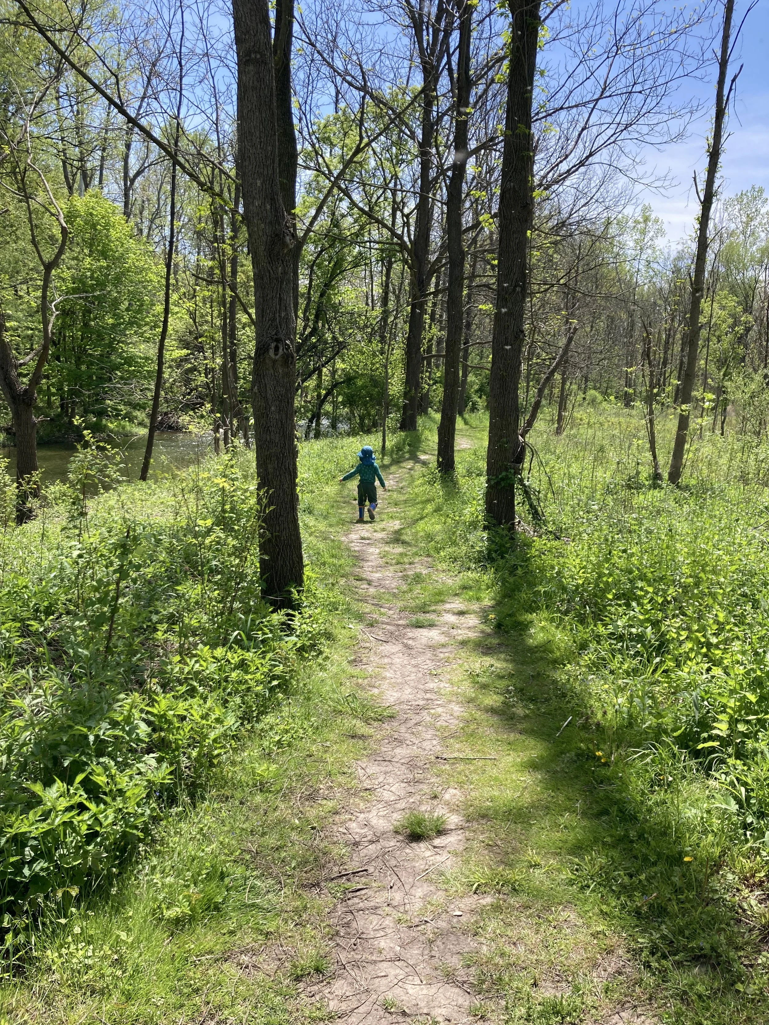 Child running along trail in sunny woods