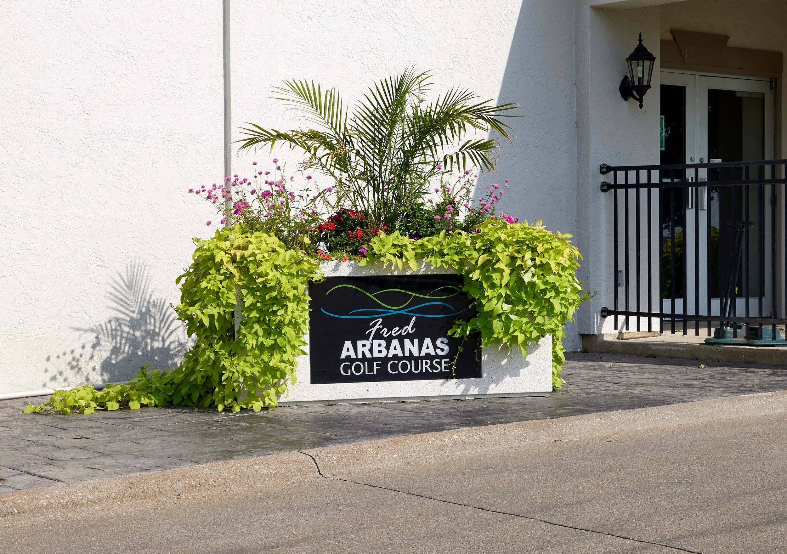 Why Traditional Commercial Planters Fail in Summer—and How to Prevent It