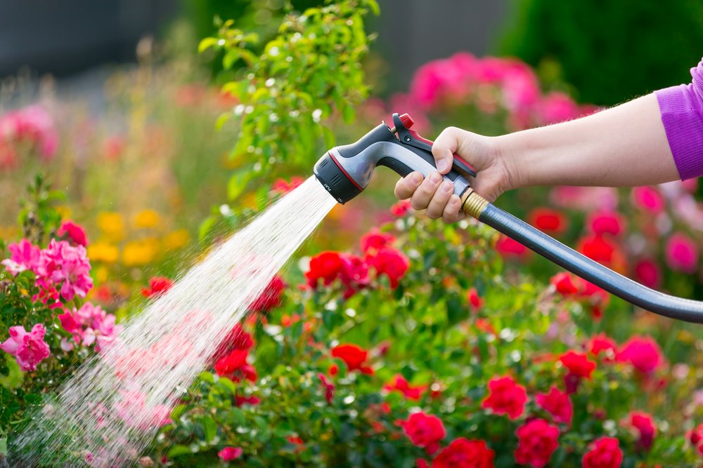 image of someone watering plants in large outdoor planters