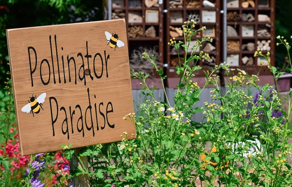 Commercial Landscapes - image of a pollinator paradise sign