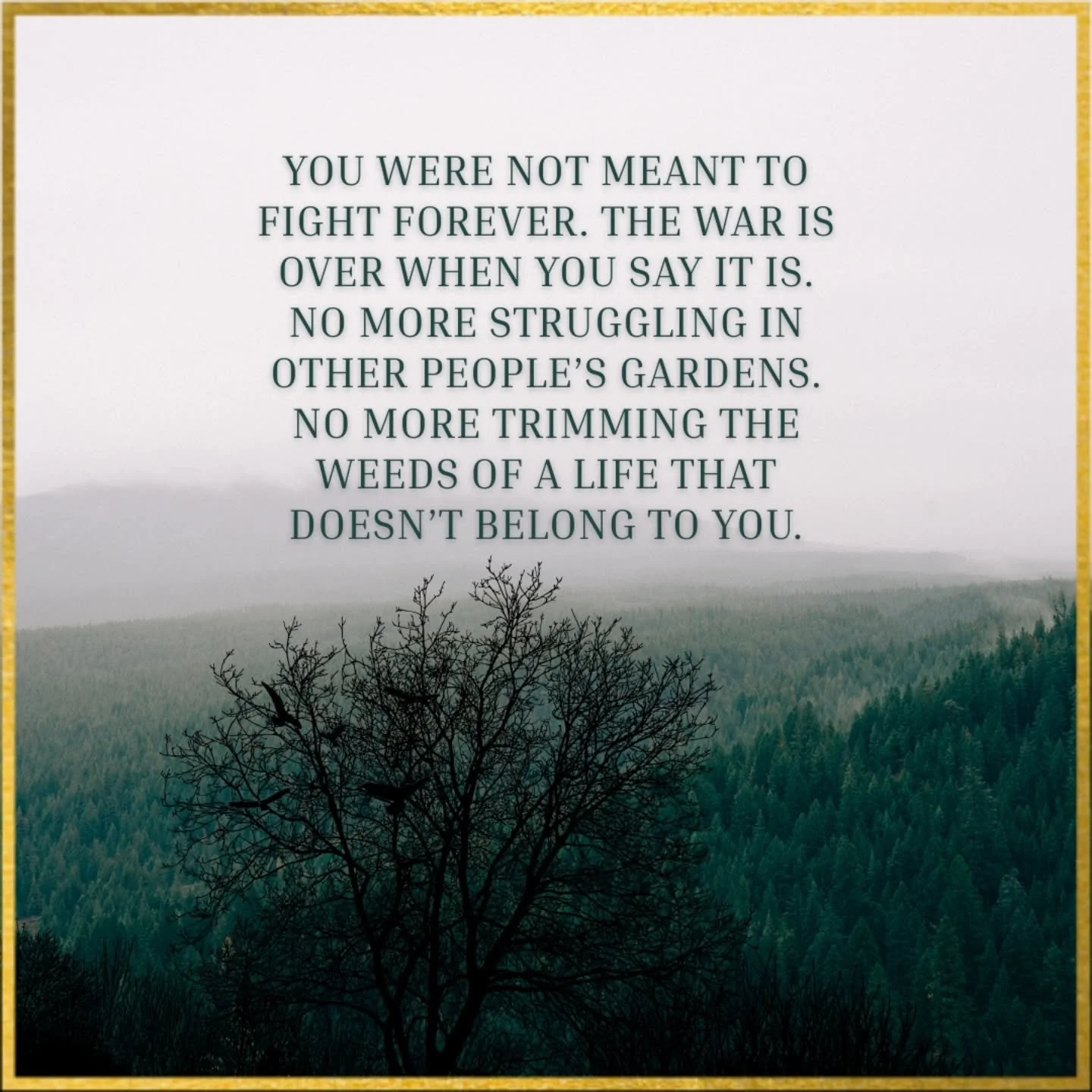 People will try to tell you differently, but it really is a choice to show up to keep fighting their fight for them. 

If no one is there when they show up to fight then, and only then, will they see that they are simply fighting themselves